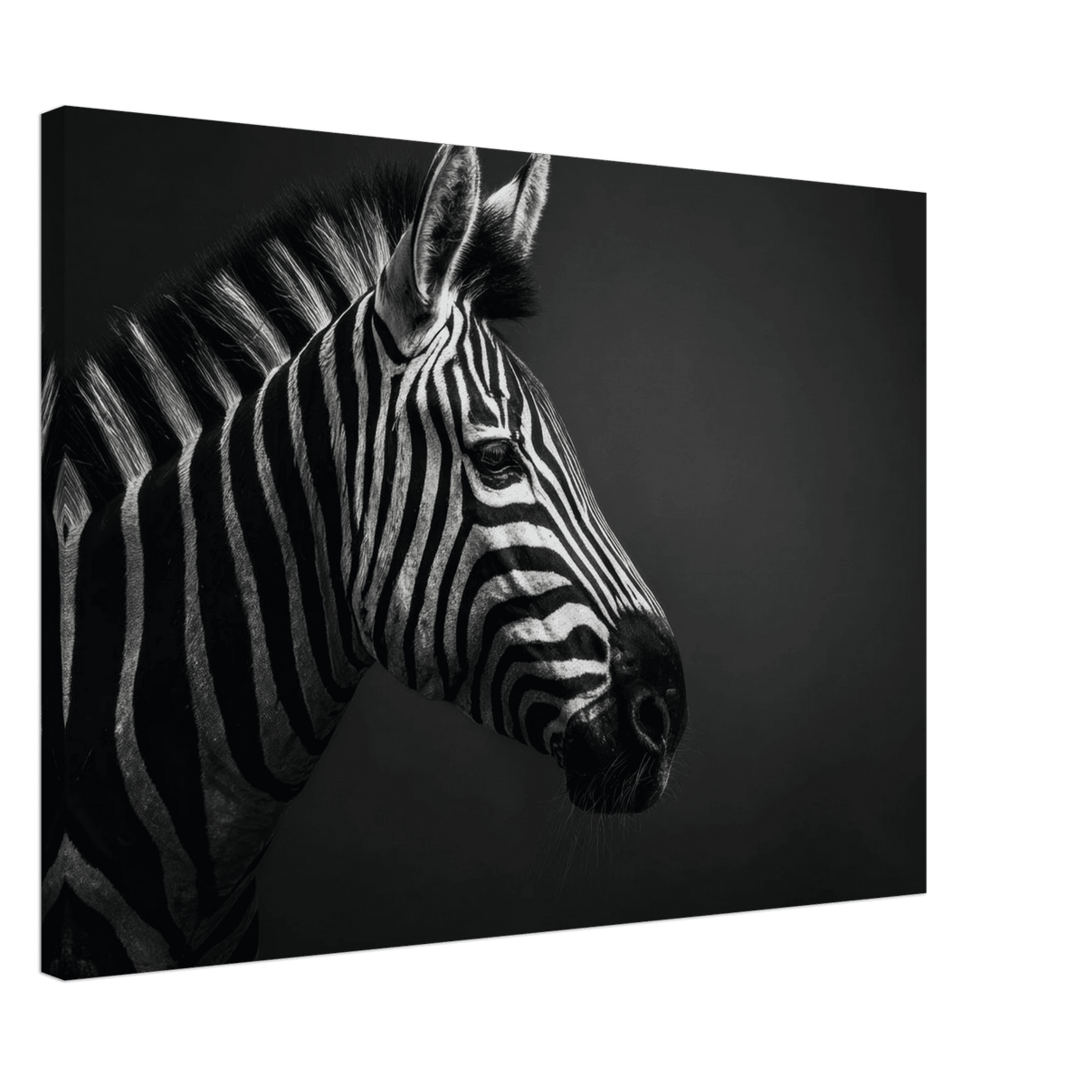 Zebra Close 4 - Shop Ai Art WebShop - Digital Art online Store