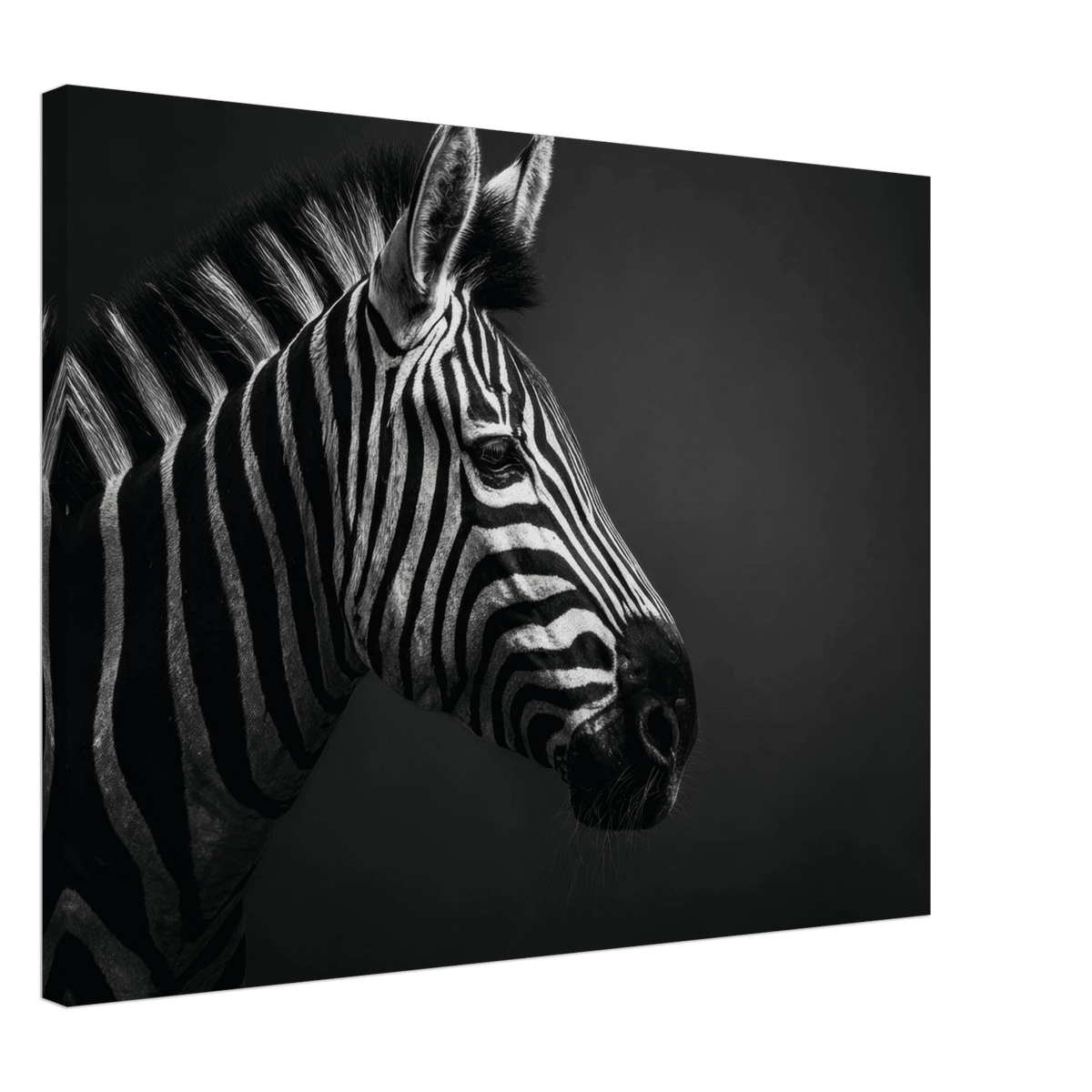 Zebra Close 4 - Shop Ai Art WebShop - Digital Art online Store