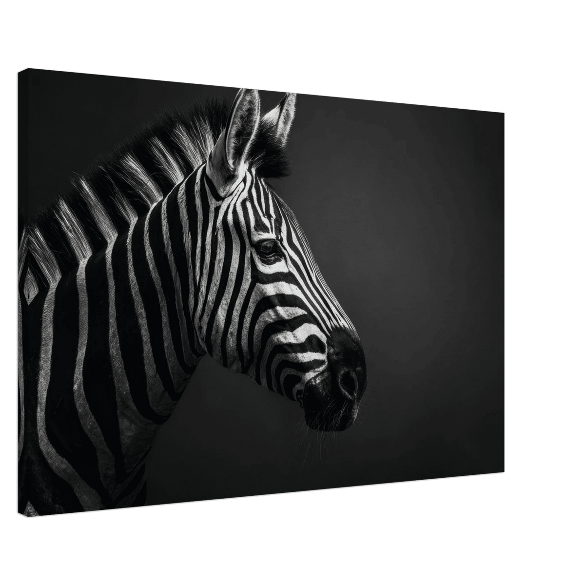 Zebra Close 4 - Shop Ai Art WebShop - Digital Art online Store