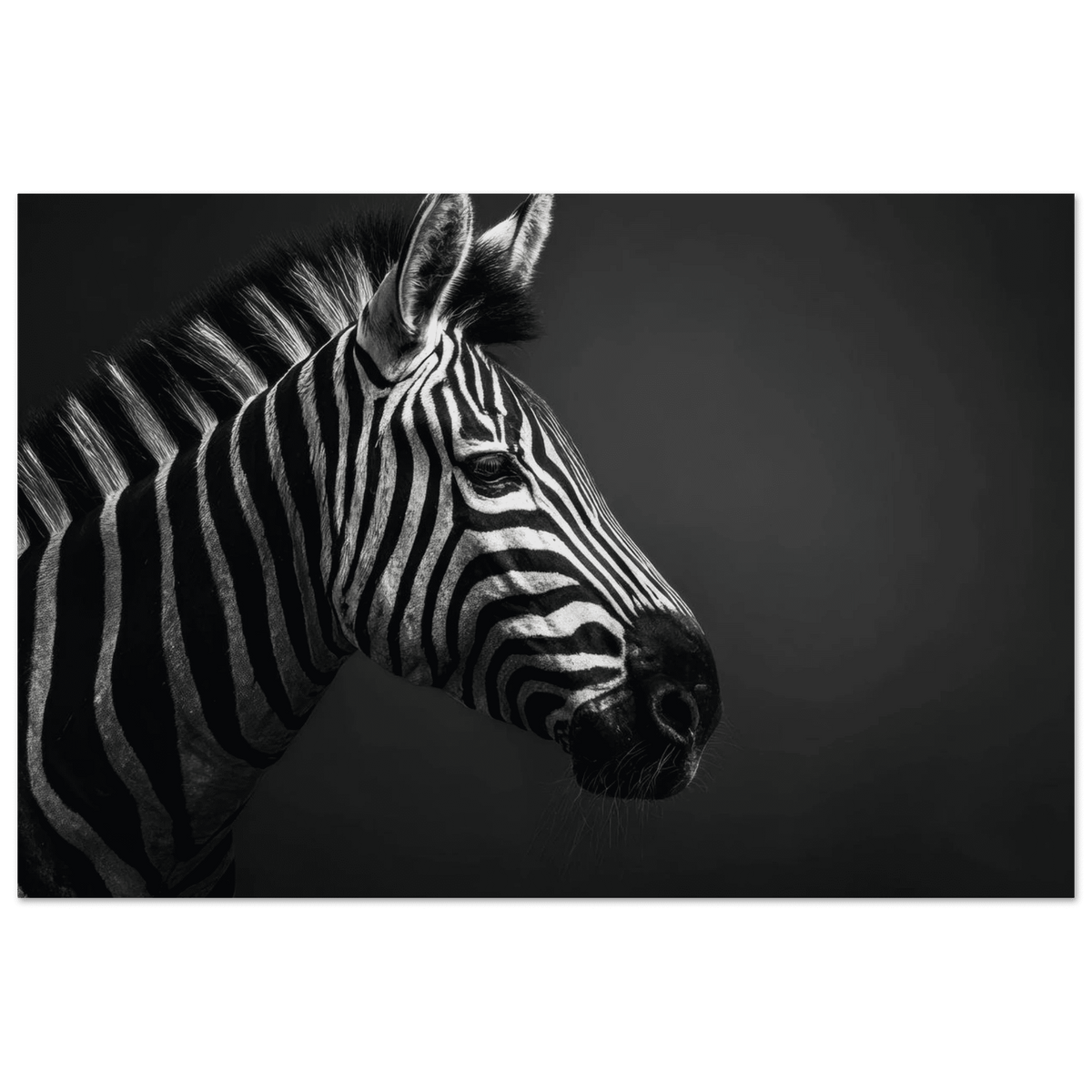 Zebra Close 4 - Shop Ai Art WebShop - Digital Art online Store