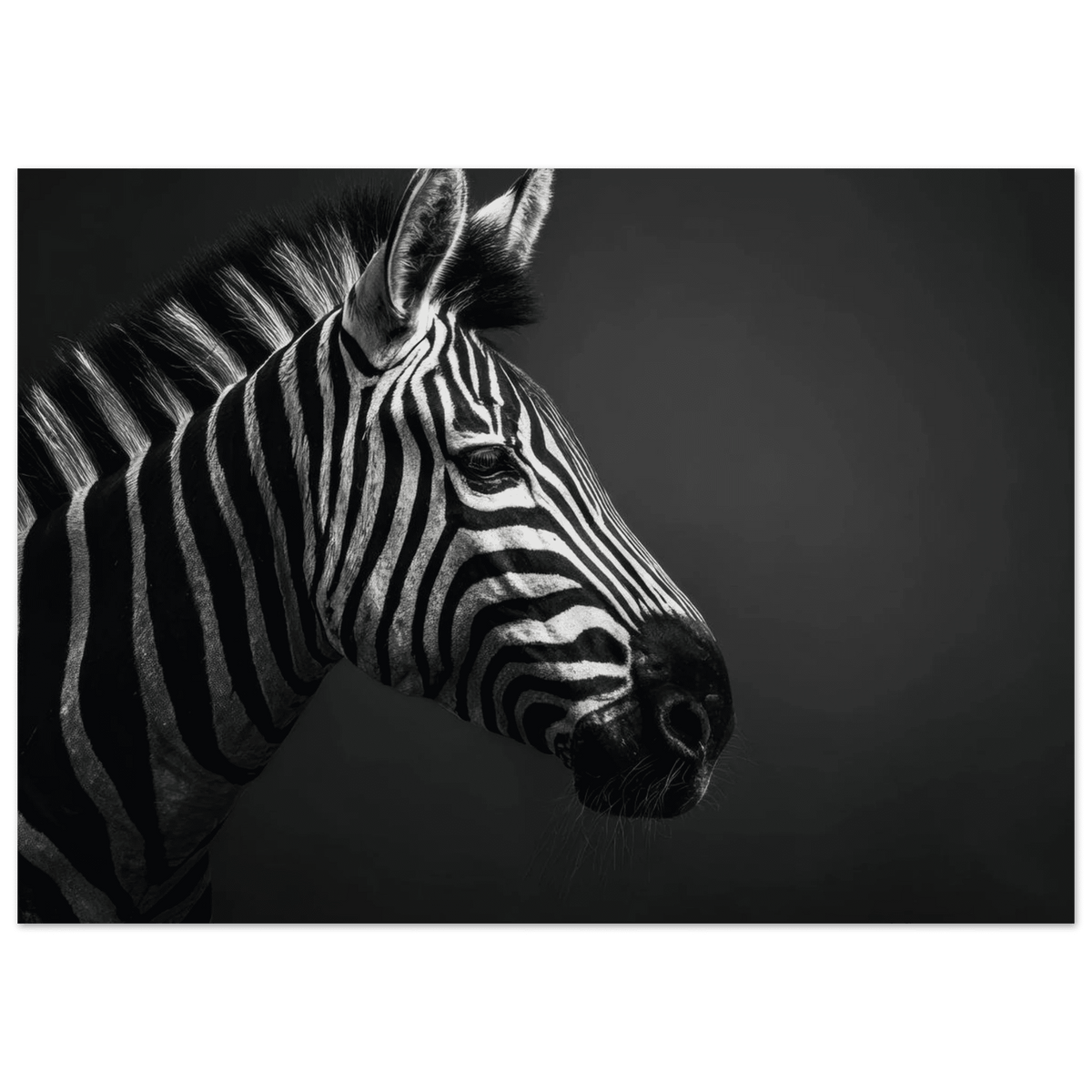 Zebra Close 4 - Shop Ai Art WebShop - Digital Art online Store