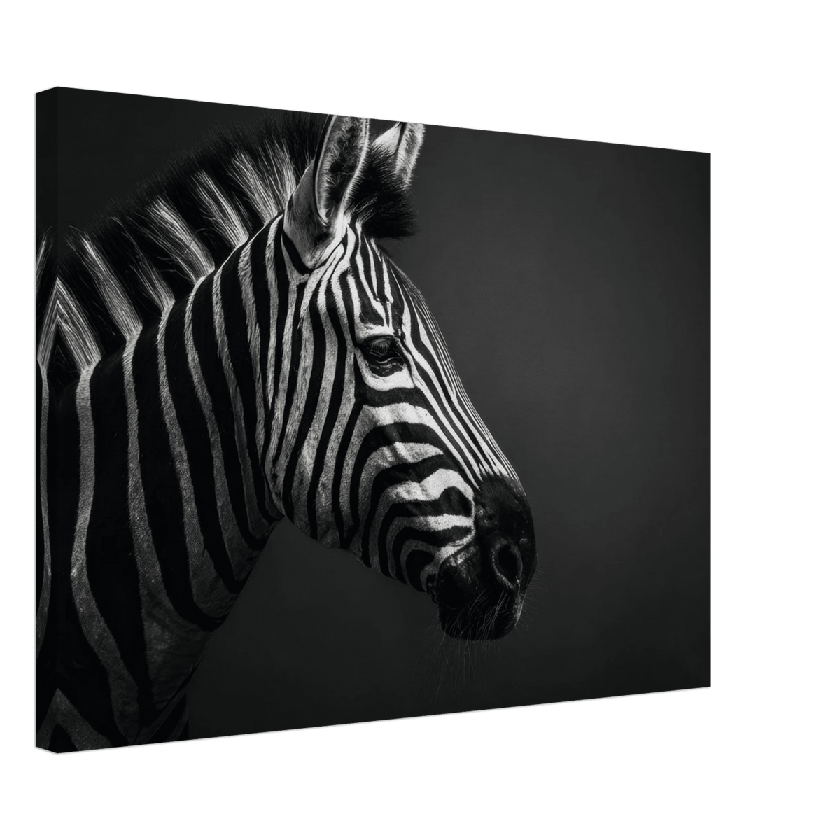 Zebra Close 4 - Shop Ai Art WebShop - Digital Art online Store