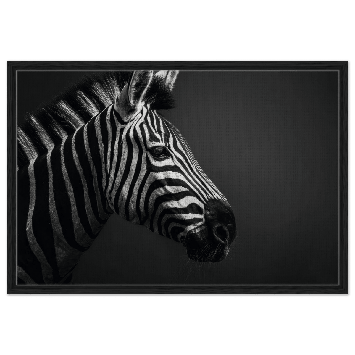 Zebra Close 4 - Shop Ai Art WebShop - Digital Art online Store
