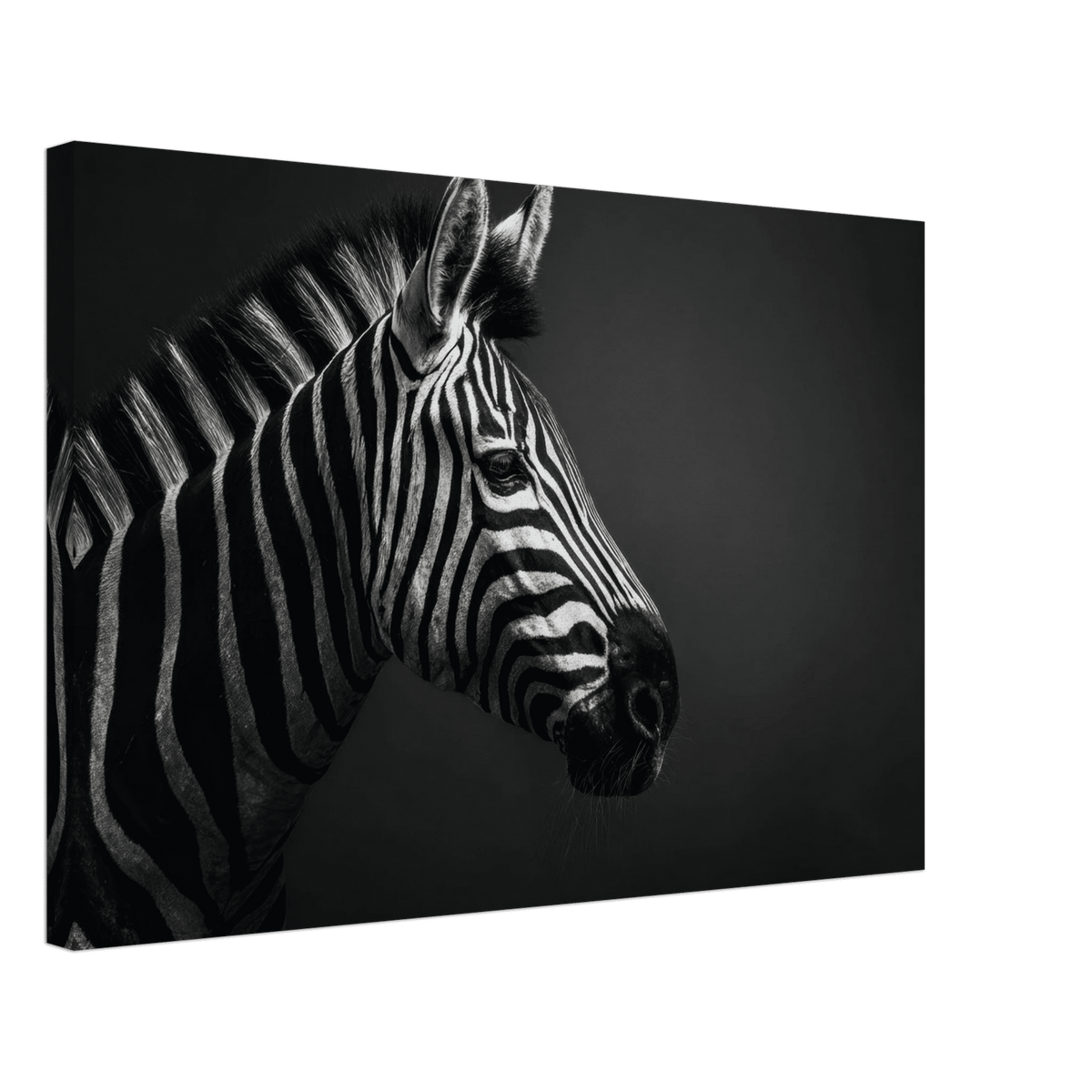Zebra Close 4 - Shop Ai Art WebShop - Digital Art online Store