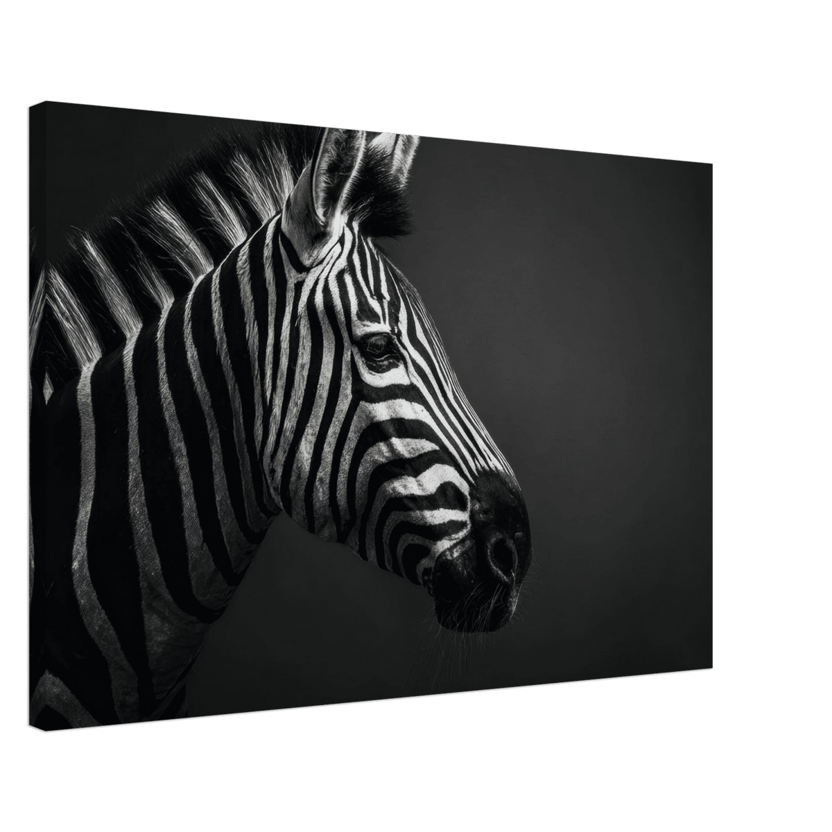 Zebra Close 4 - Shop Ai Art WebShop - Digital Art online Store