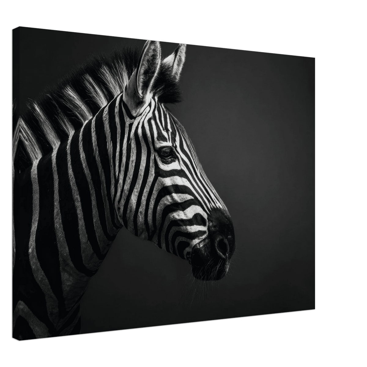 Zebra Close 4 - Shop Ai Art WebShop - Digital Art online Store