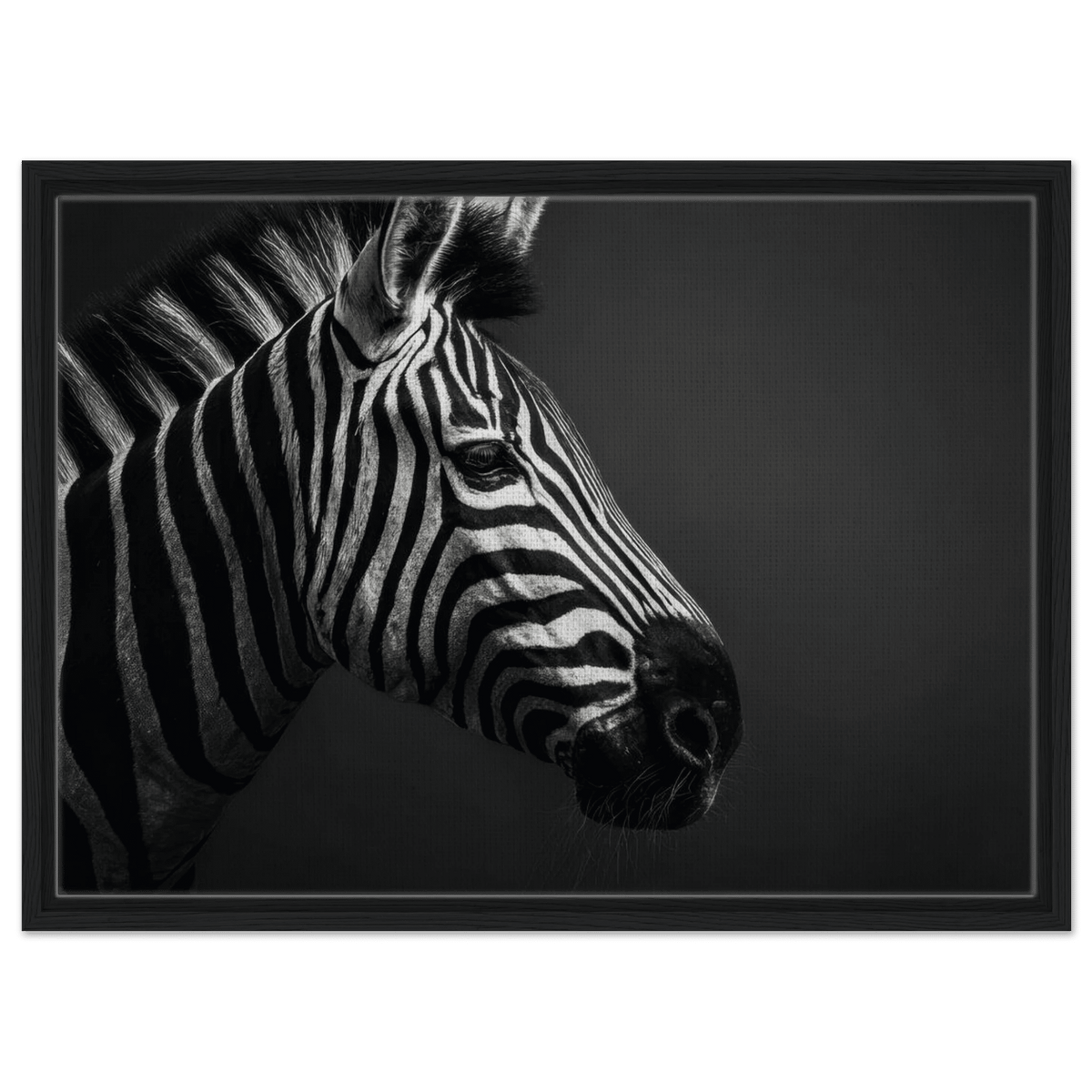 Zebra Close 4 - Shop Ai Art WebShop - Digital Art online Store