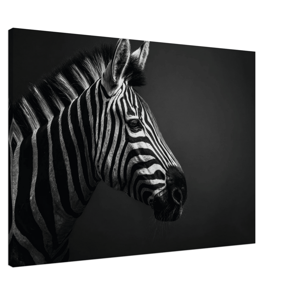 Zebra Close 4 - Shop Ai Art WebShop - Digital Art online Store