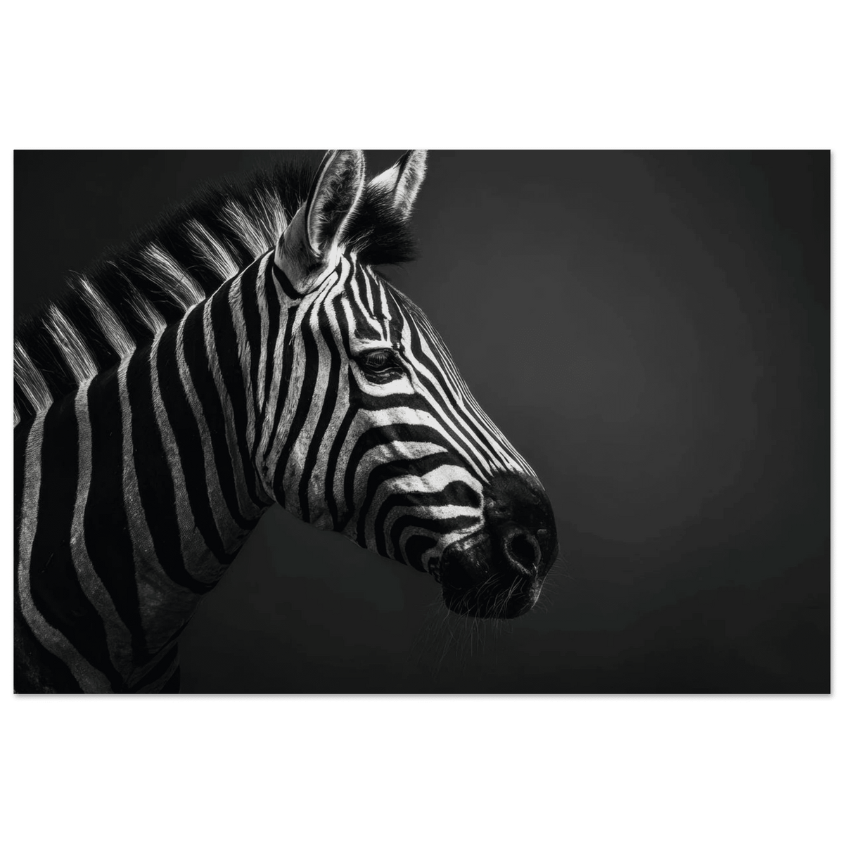 Zebra Close 4 - Shop Ai Art WebShop - Digital Art online Store