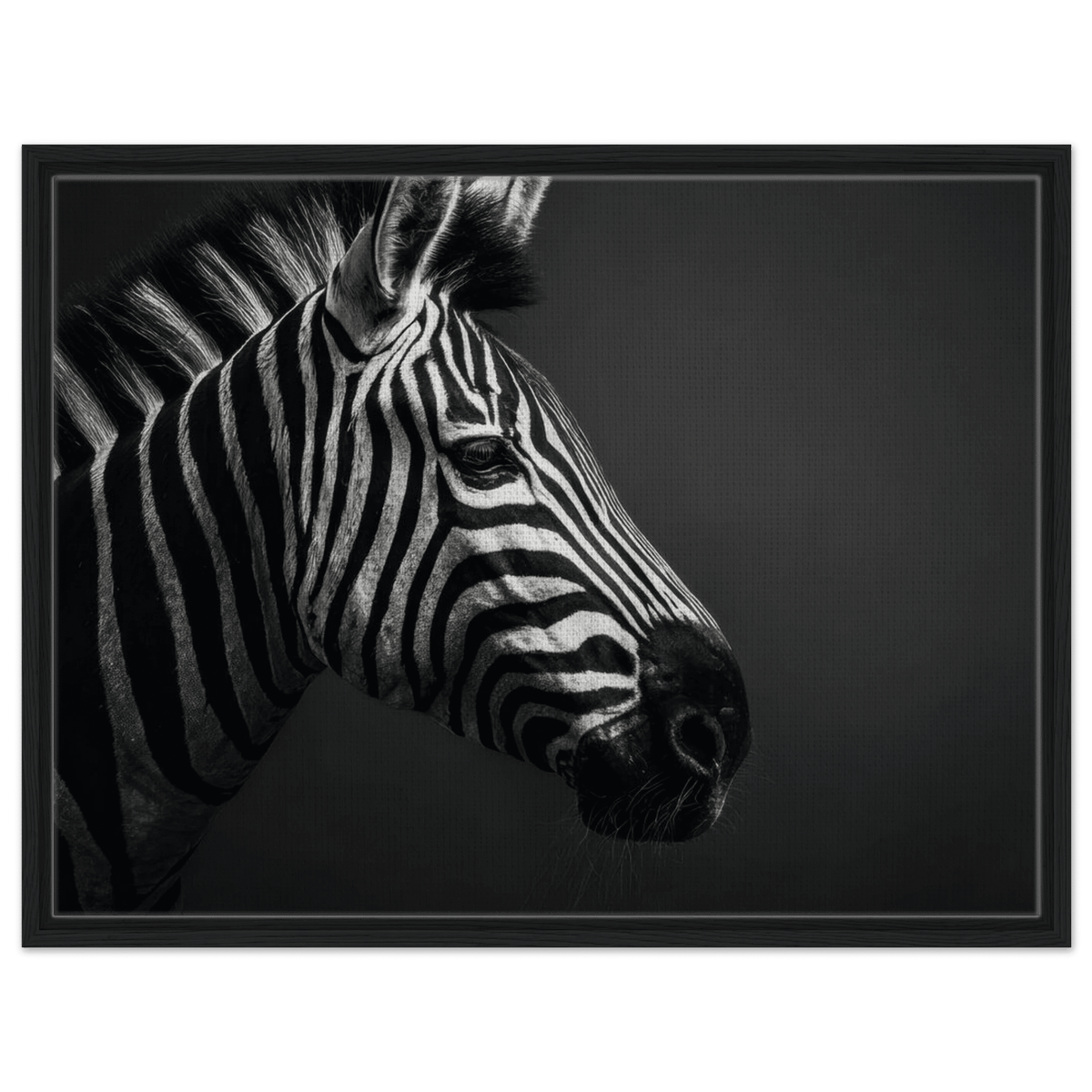 Zebra Close 4 - Shop Ai Art WebShop - Digital Art online Store