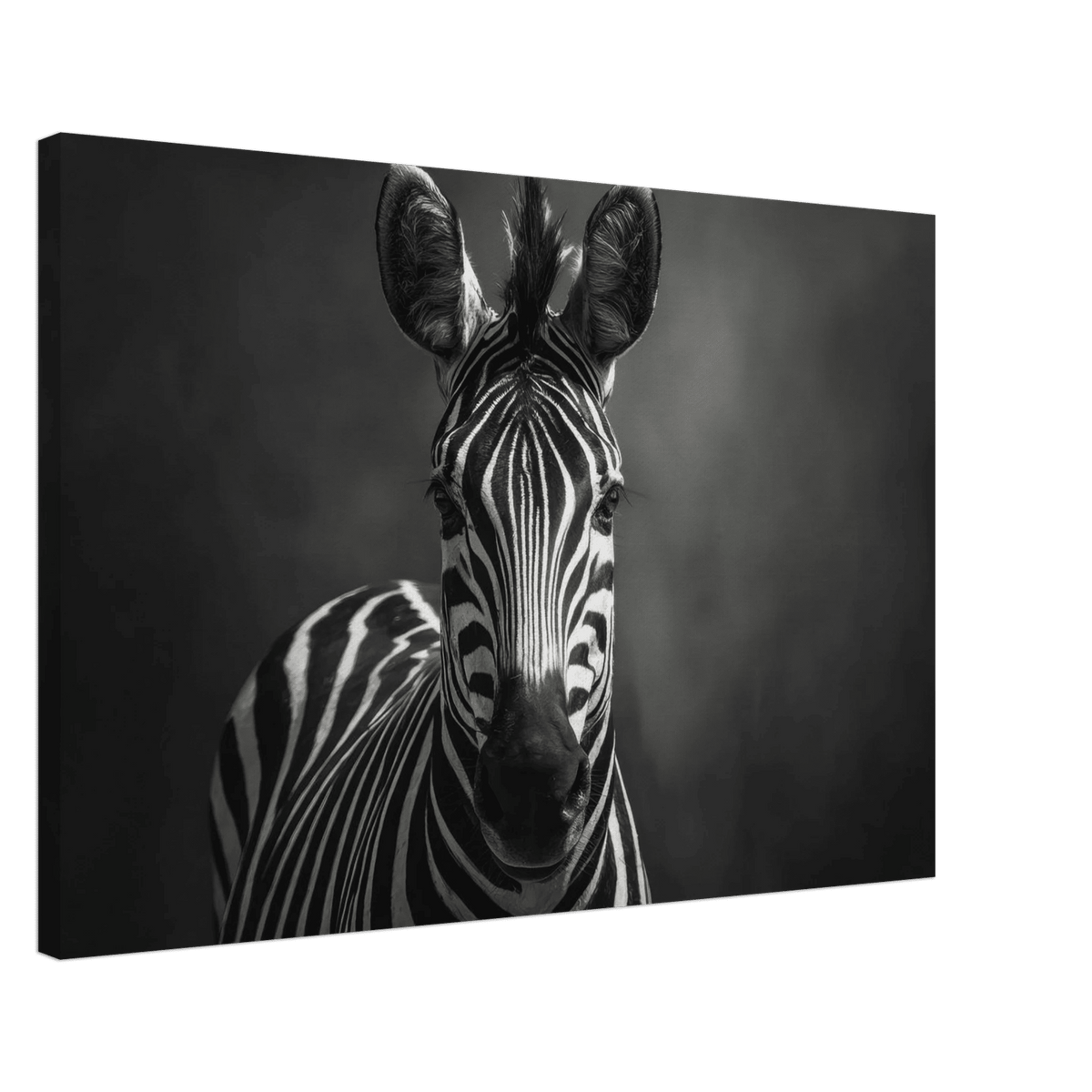 Zebra Head Facing Forward - Shop Ai Art WebShop - Digital Art online Store