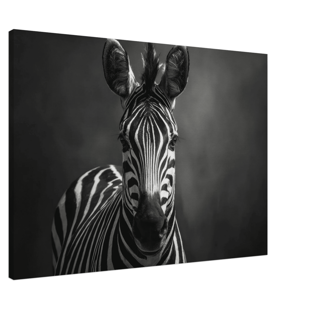 Zebra Head Facing Forward - Shop Ai Art WebShop - Digital Art online Store