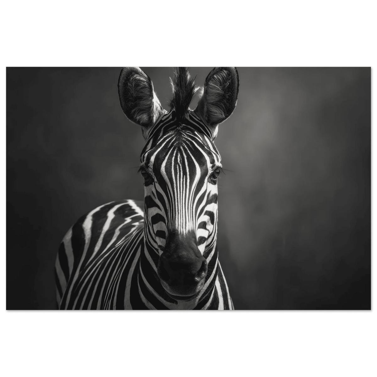 Zebra Head Facing Forward - Shop Ai Art WebShop - Digital Art online Store