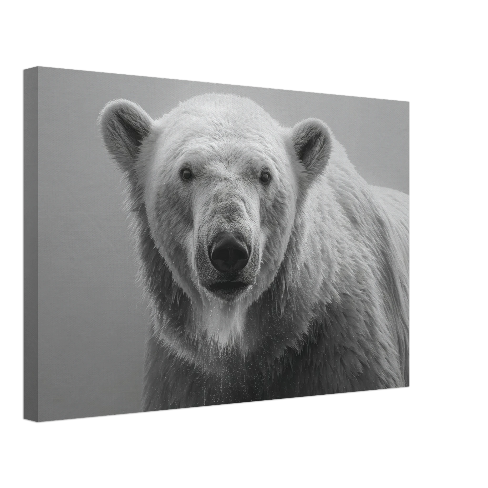 00921d2a-c2df-4a65-83cd-0b16acb8b26f