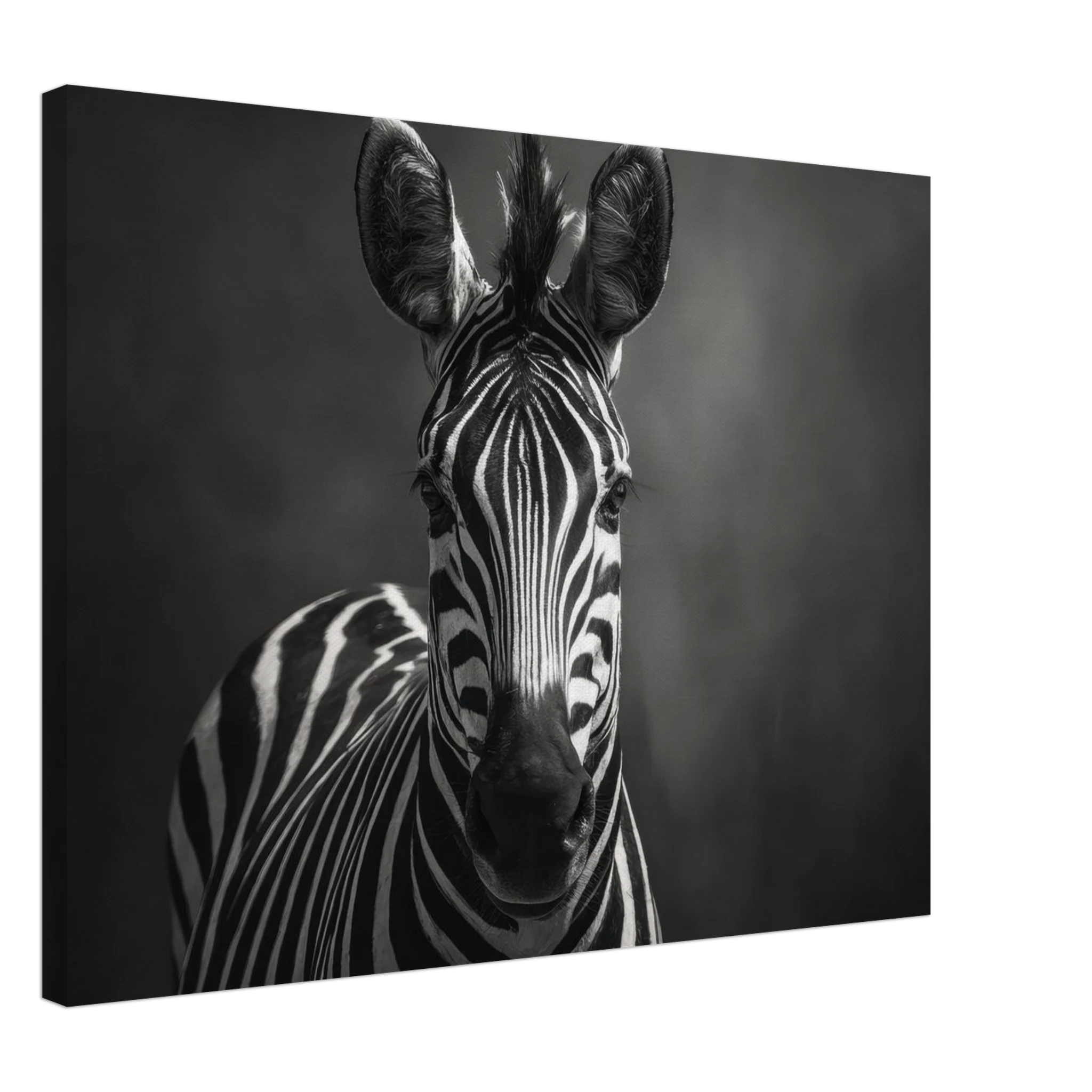 0166b0c9-0260-4686-8c6e-72cbb383ee97