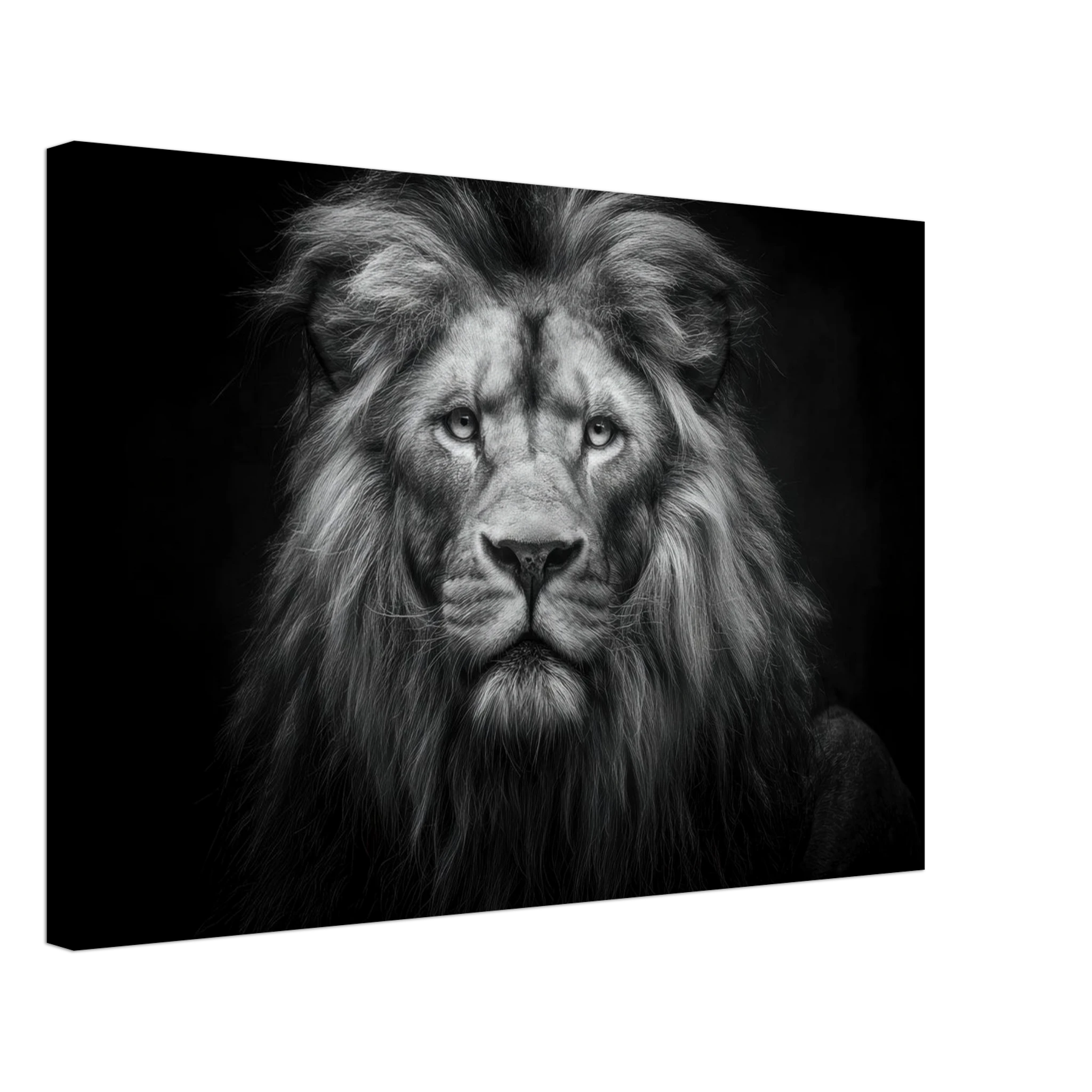 01ccb648-792b-417e-87a7-6105bd7f50ad