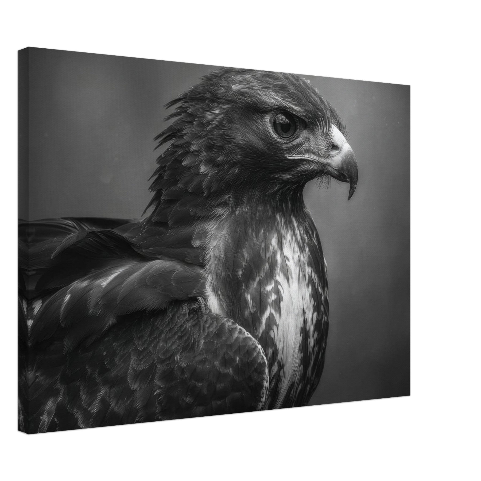 0b67bdb2-0c1b-40f8-b0da-cf5742ee4e65