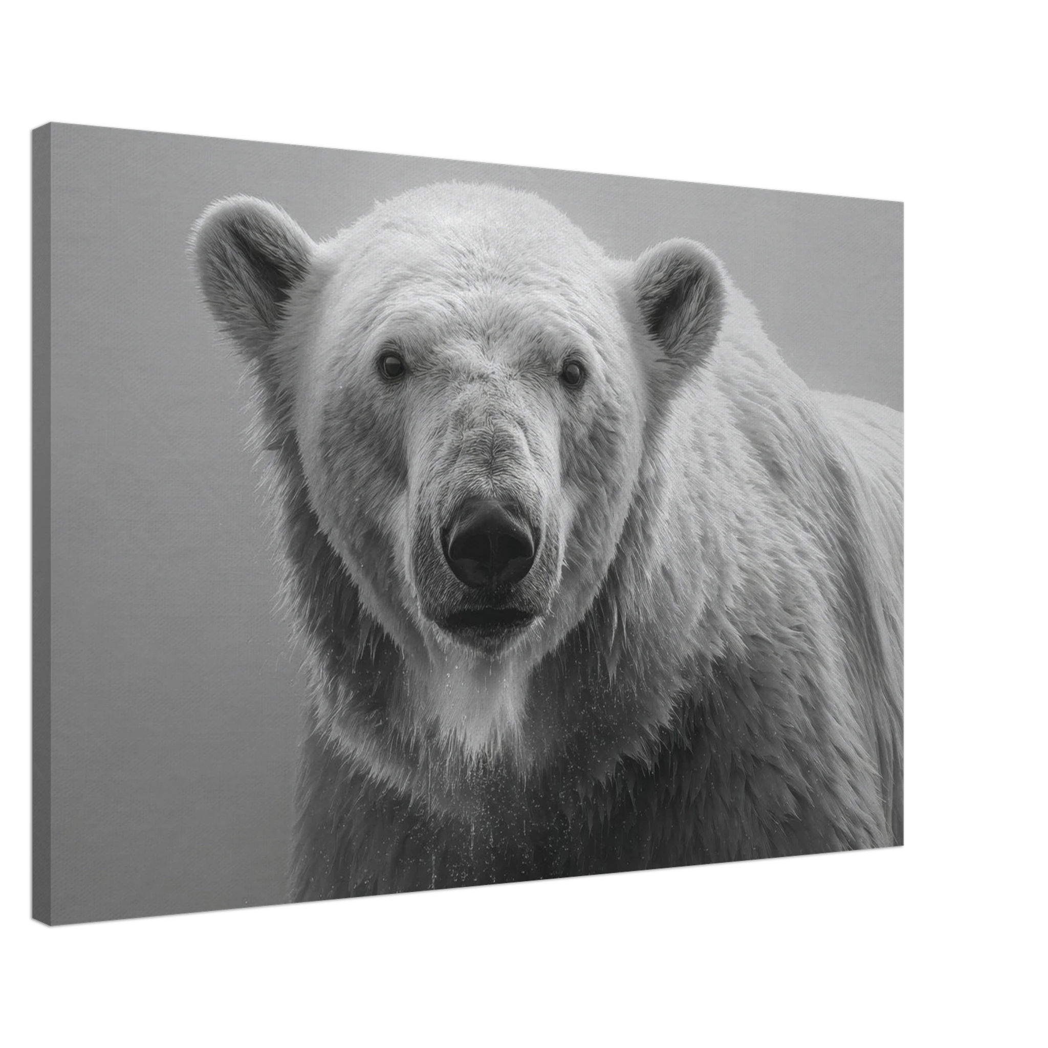 0c8aff89-97b2-4fd4-b174-62236defa767