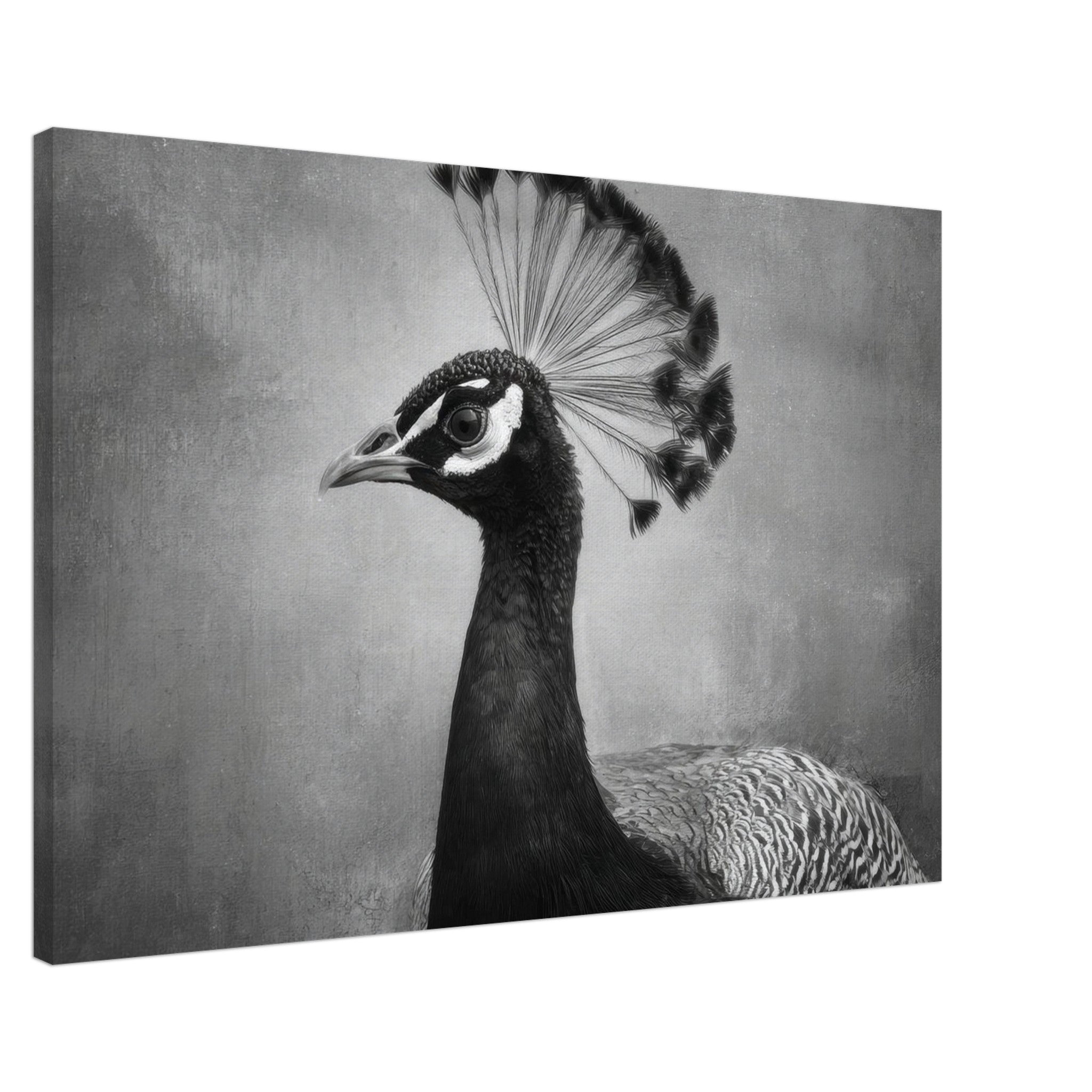 13b16d3a-da65-4c40-82e3-1385e2228d05