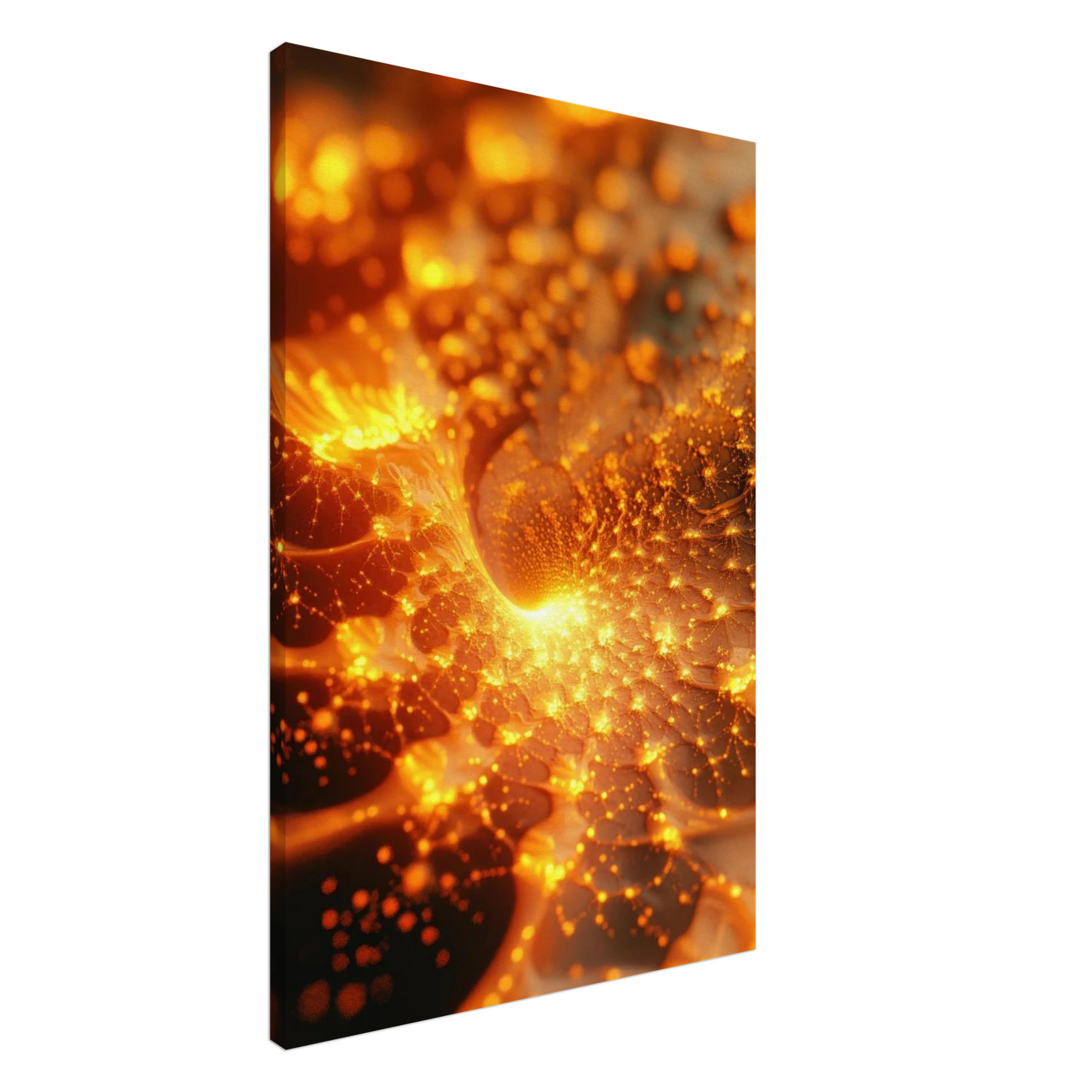 1fb5aed7-af7f-4617-974f-a5e281f37211