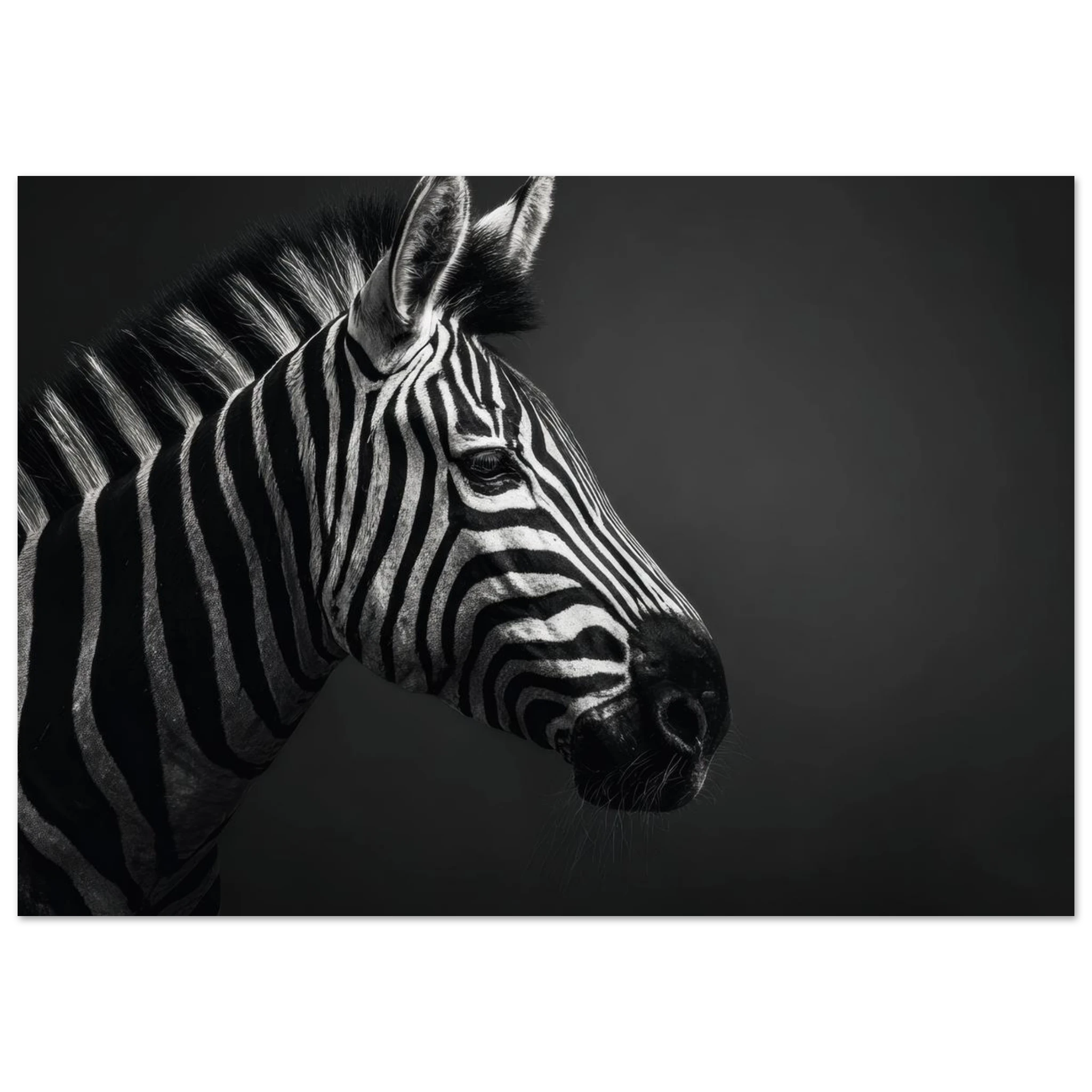 209477a8-fc64-4799-a519-a17885ac1002