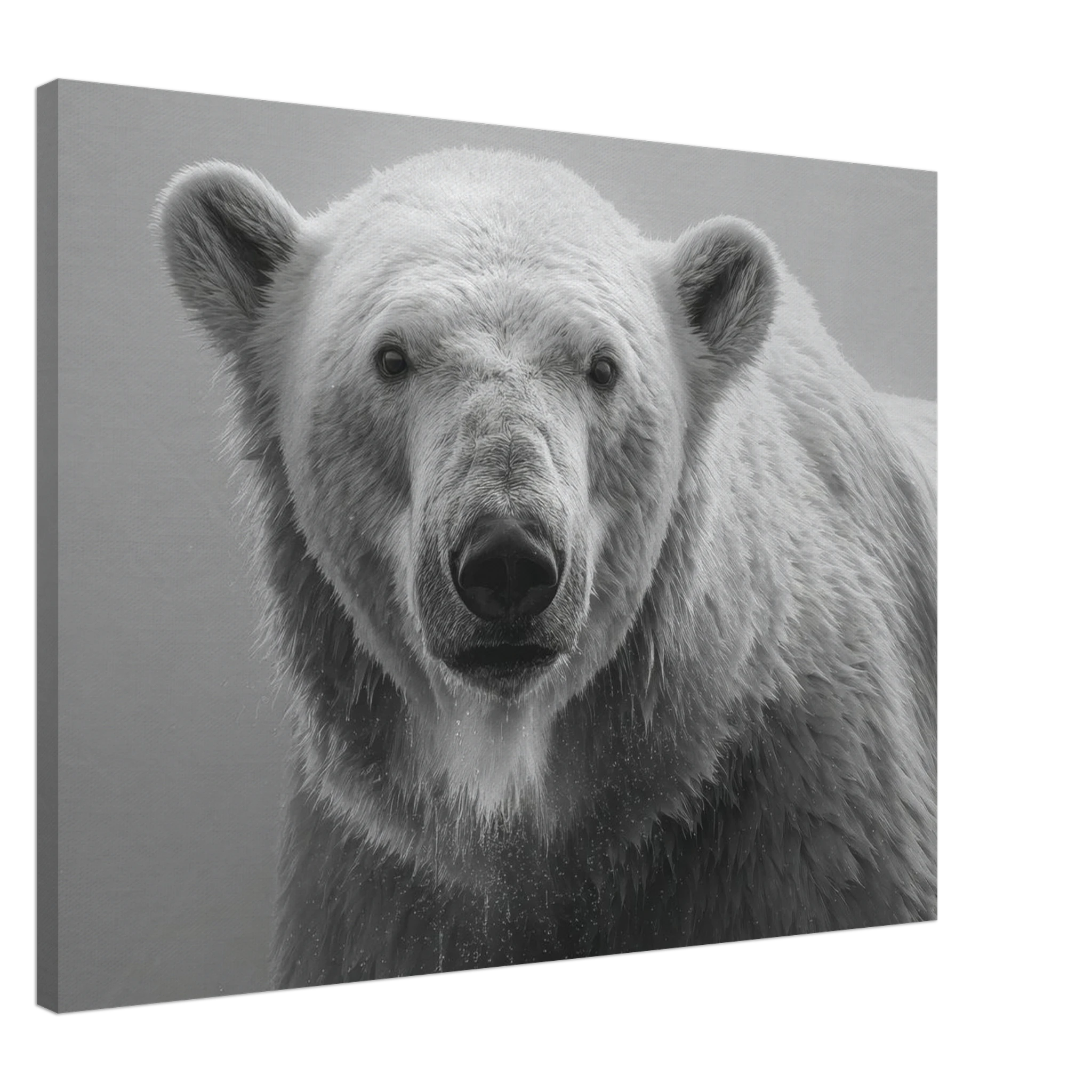 21ce6624-9cc6-4b25-b8b6-0509397f8fb9