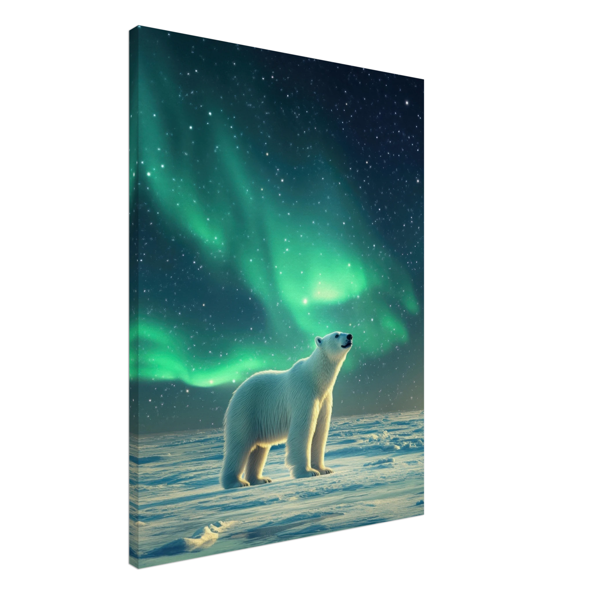 2469eb5b-cadb-4194-8dc6-6be847cfa419