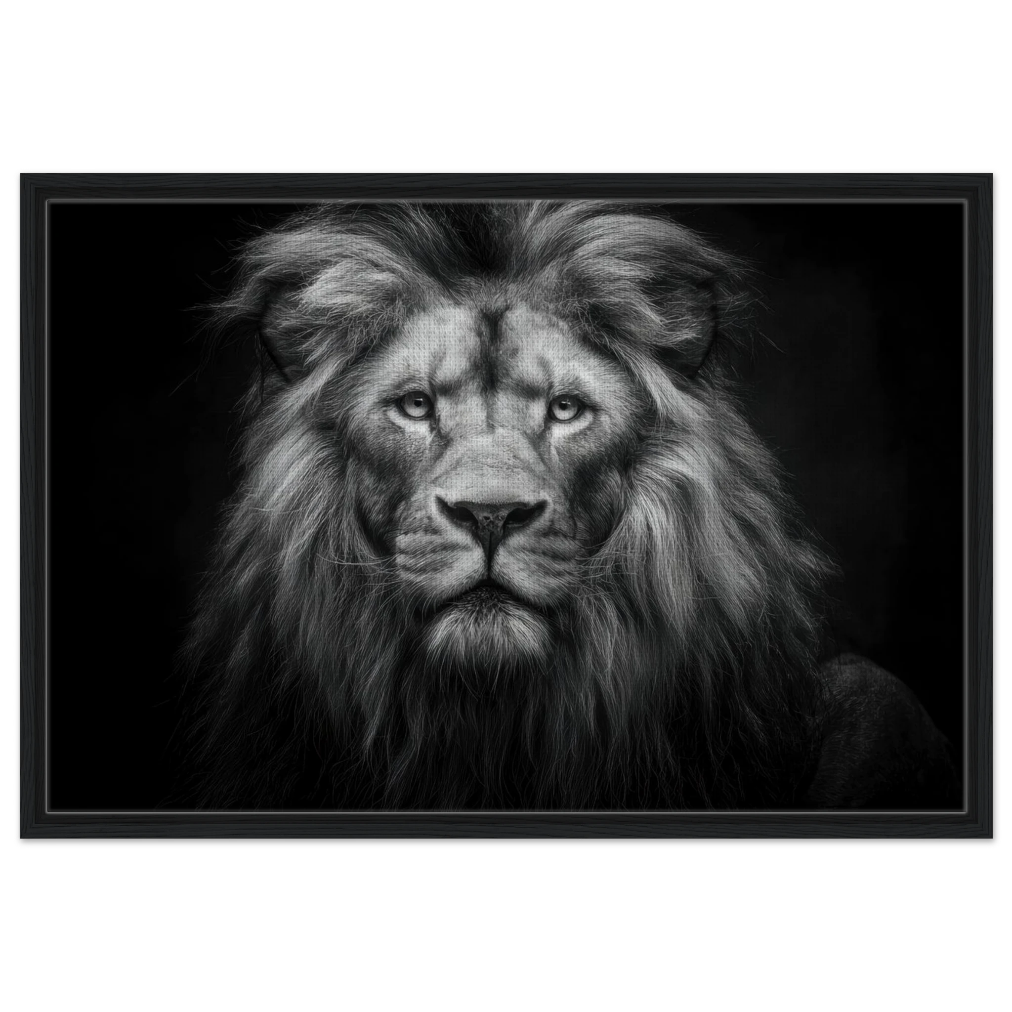 25d41fea-0597-4c80-b6d0-28e9b16cd21d