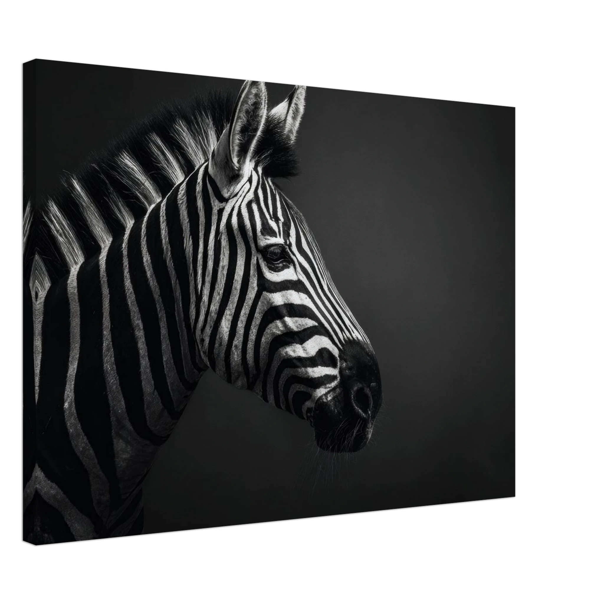 2ca0ad93-3d85-4428-a5ce-9d1cb3bfd9f9