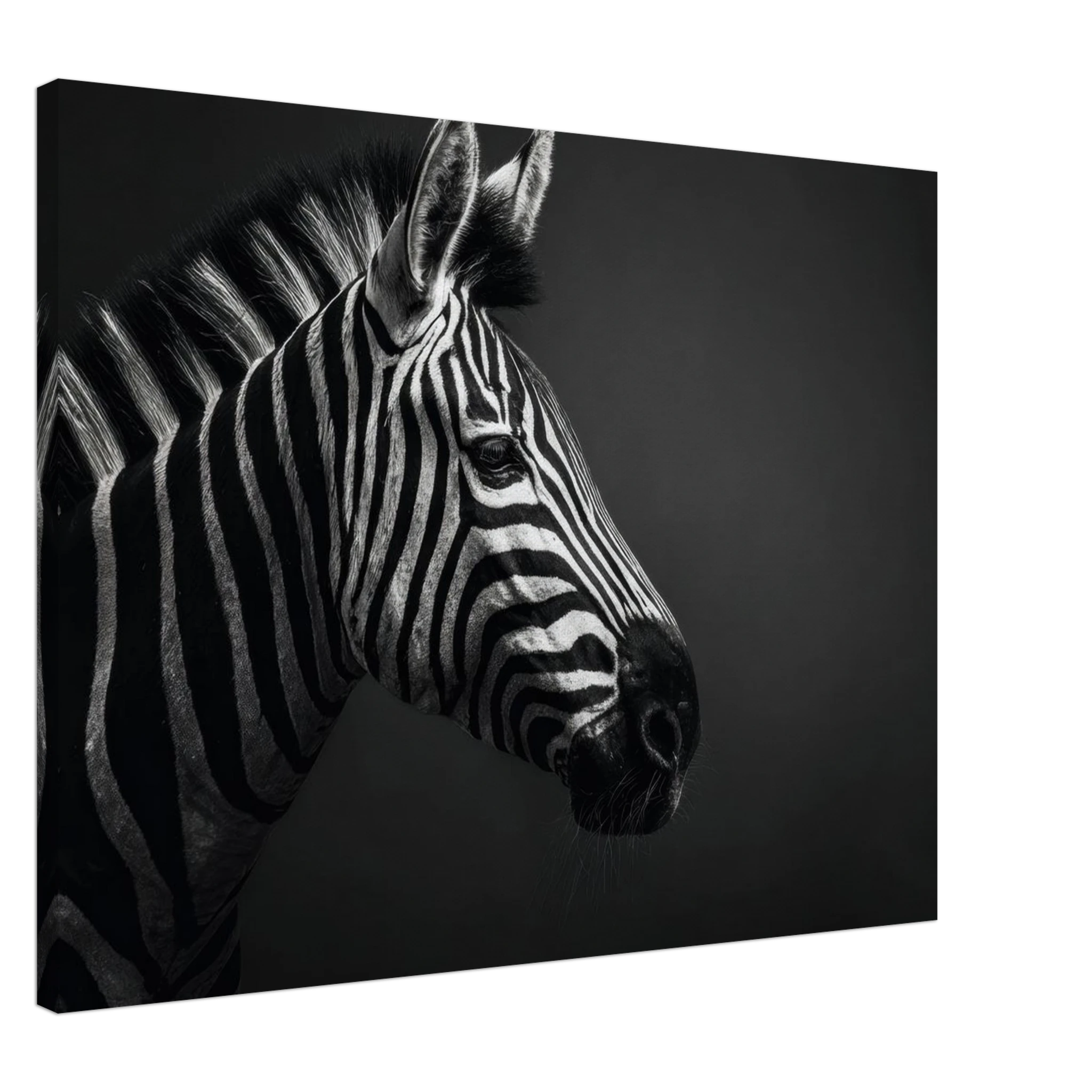 2e2d7593-2adc-4e2a-bafc-9fed85960349