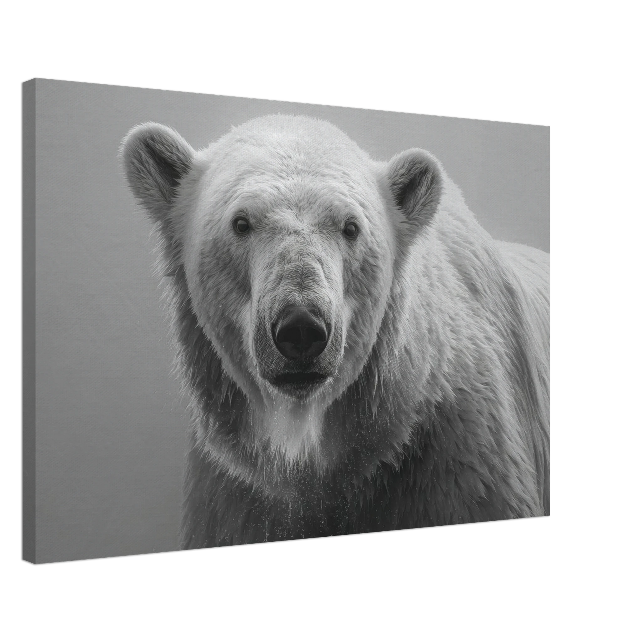 2edd4d00-d9da-4d56-819f-6e7117a2ef65