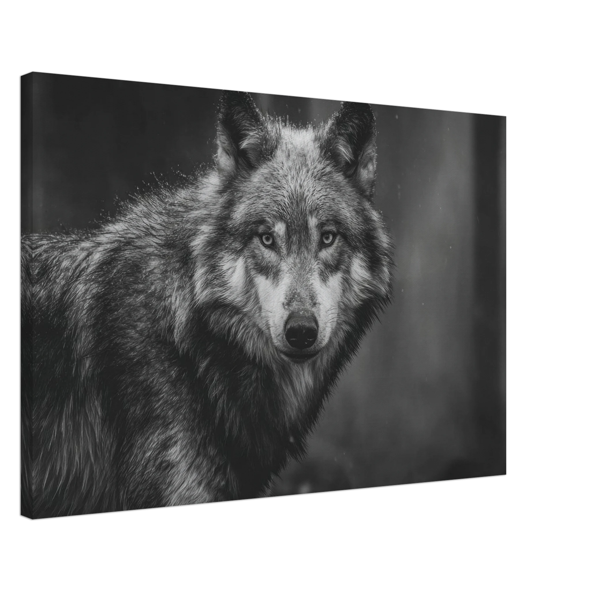 31a485e2-8f14-41b6-a84a-0dcd452898d9