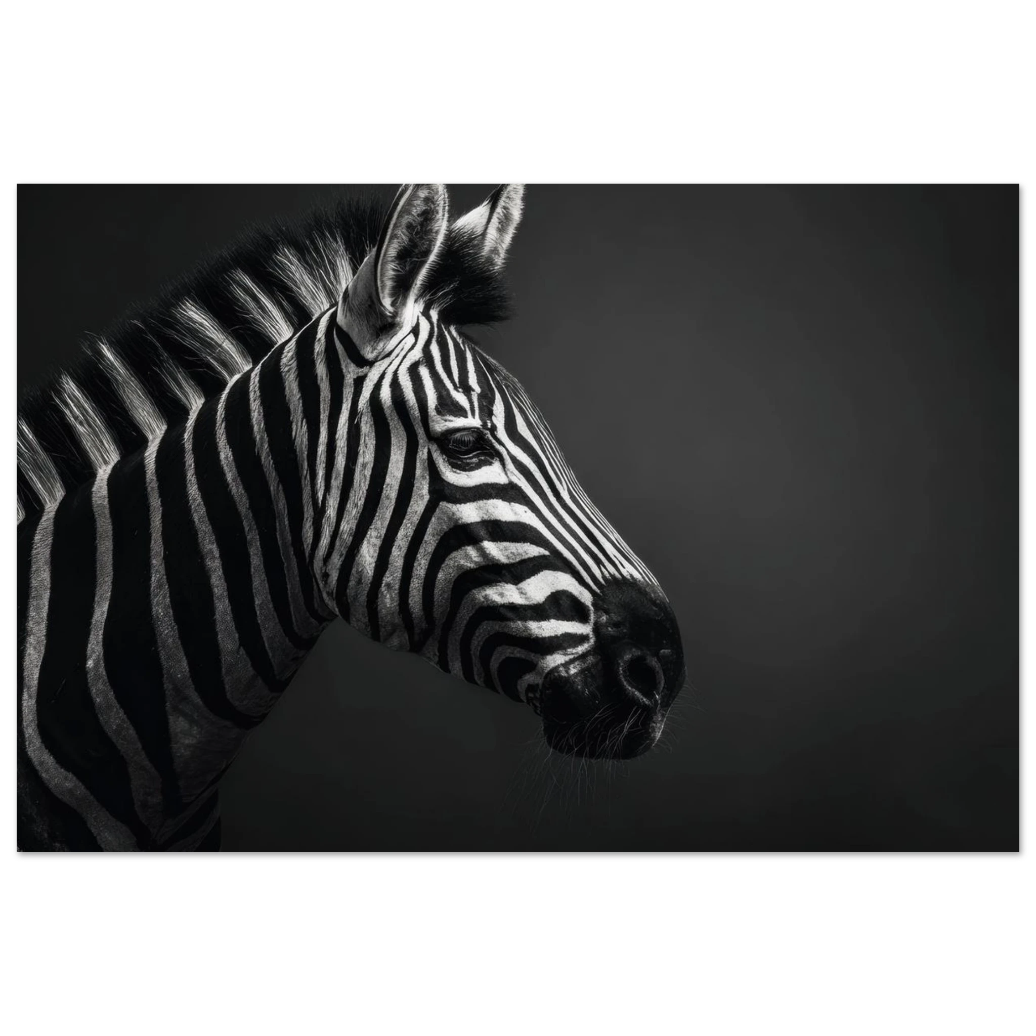 32373683-35bd-4ac7-a46b-c75479d1b8bc