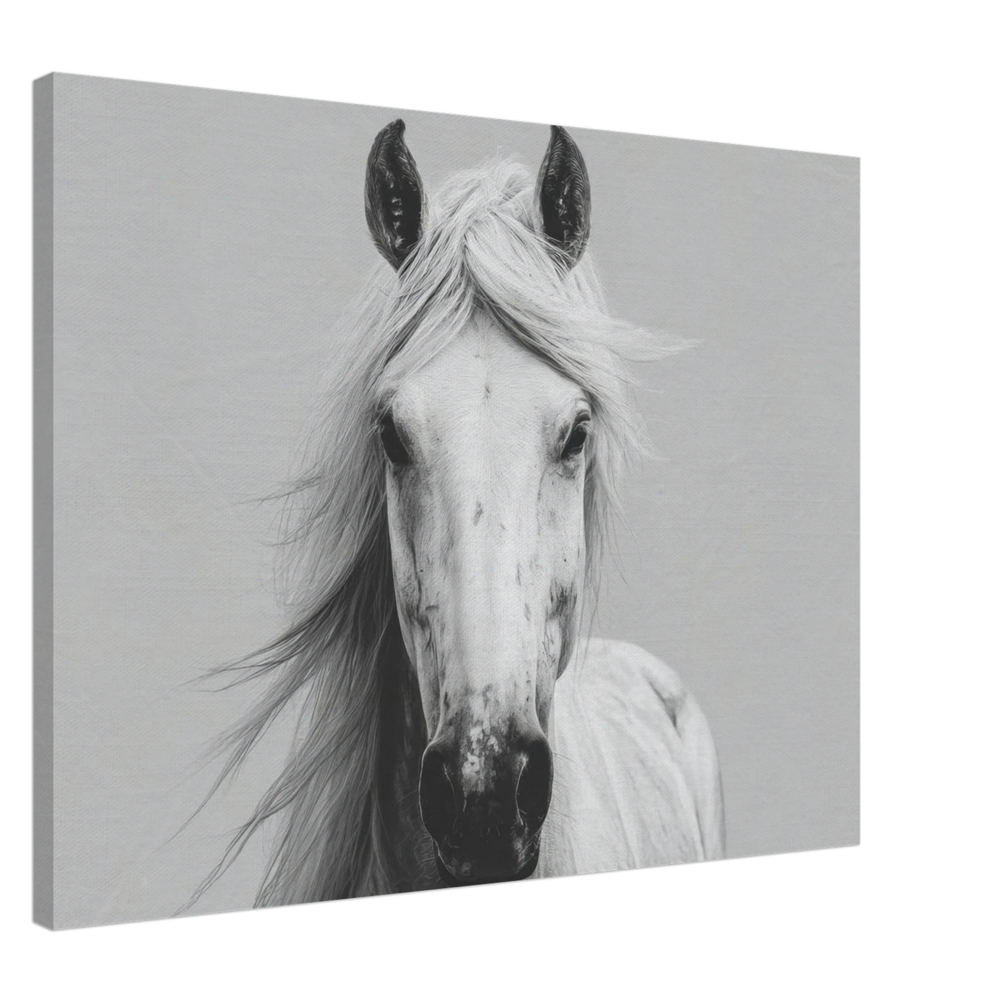 3322fd2d-7a46-455c-af1d-a04807e3e418