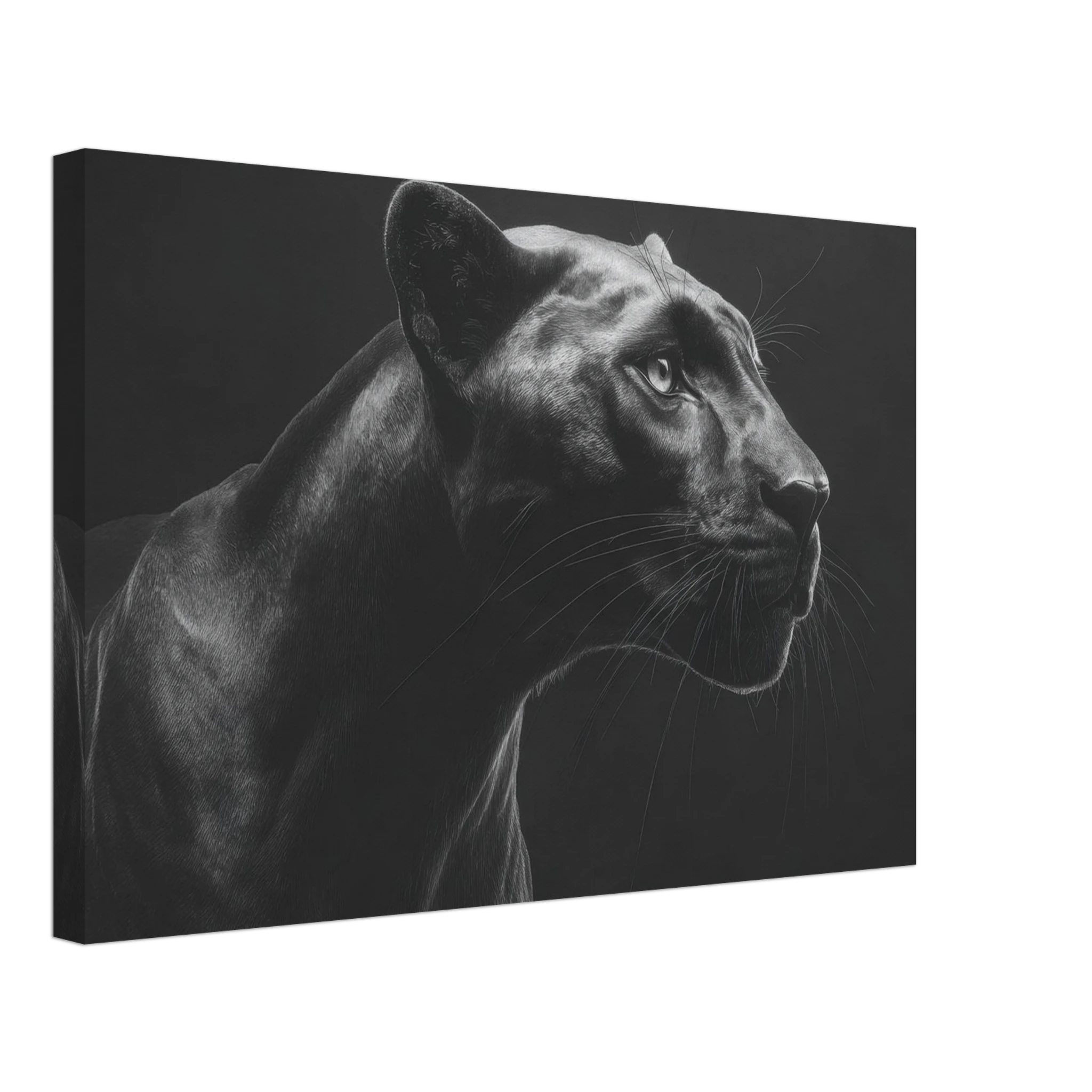 406831f7-9766-4b16-b5b5-448d02d76c6e