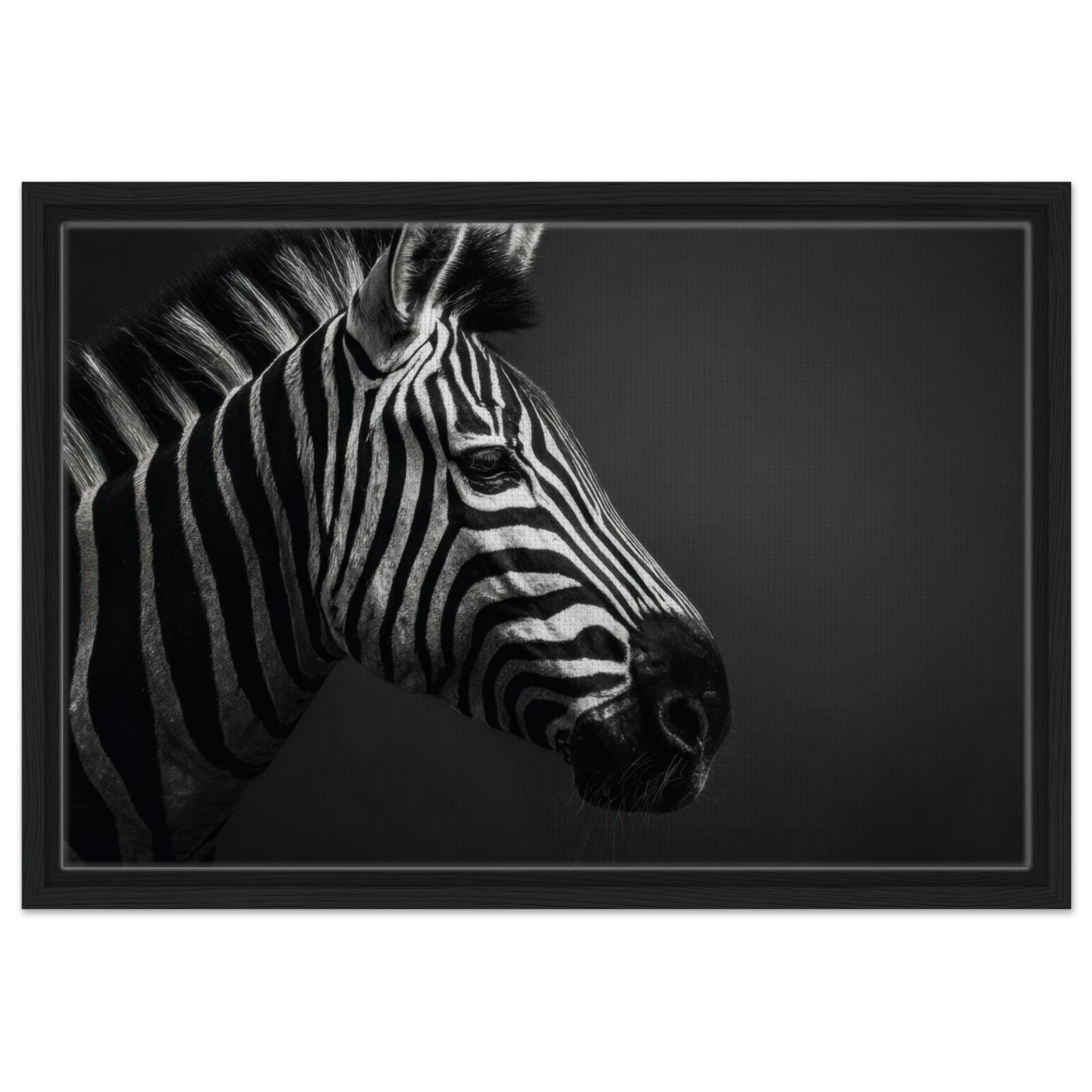 455342d9-5622-40e0-b5e7-a3721aefa0a4