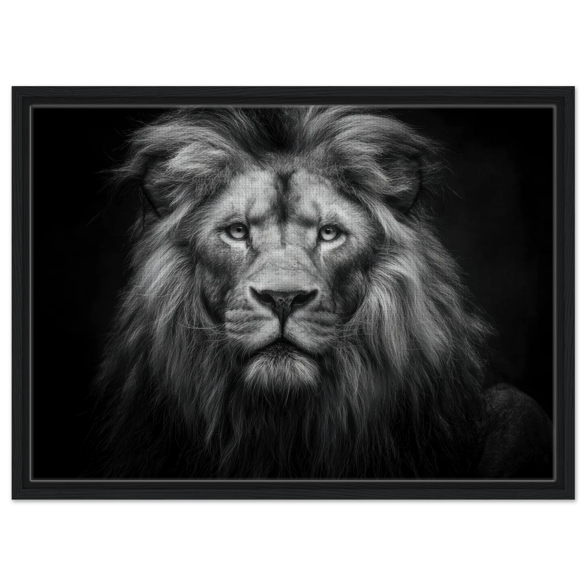 4ab81e4d-0f7a-4caf-8e51-77eb01b7ef28