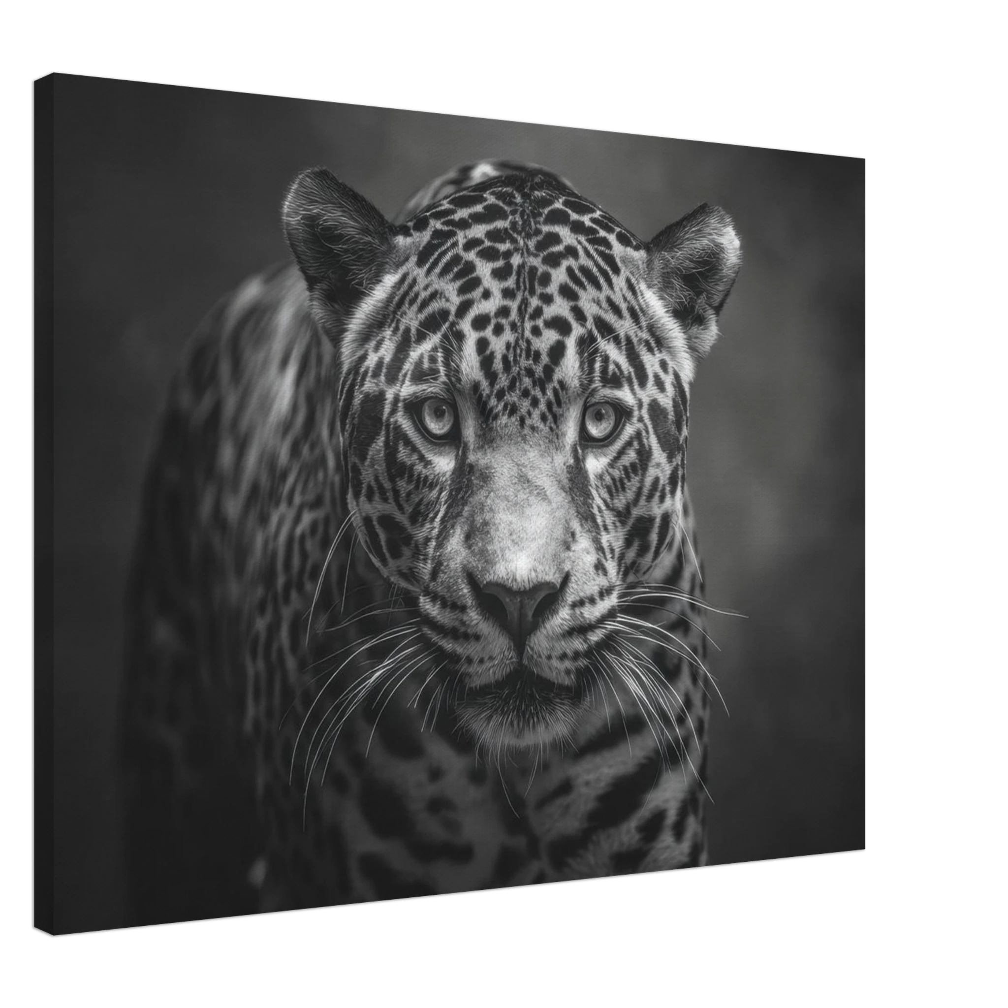 4b21da87-660c-41ff-9522-5eb087378487