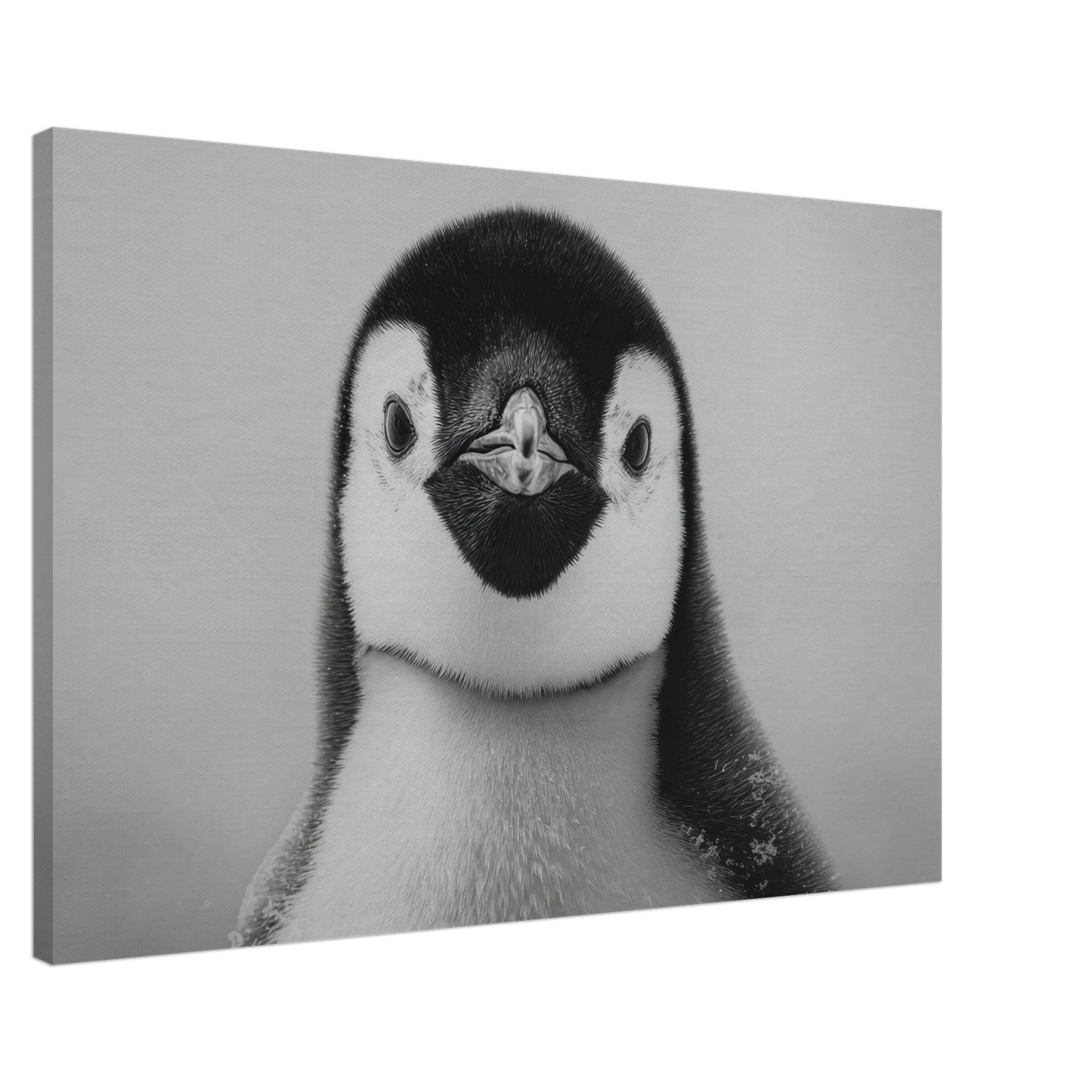 4d8b6717-d7fd-4b29-9678-ddeefeb50308