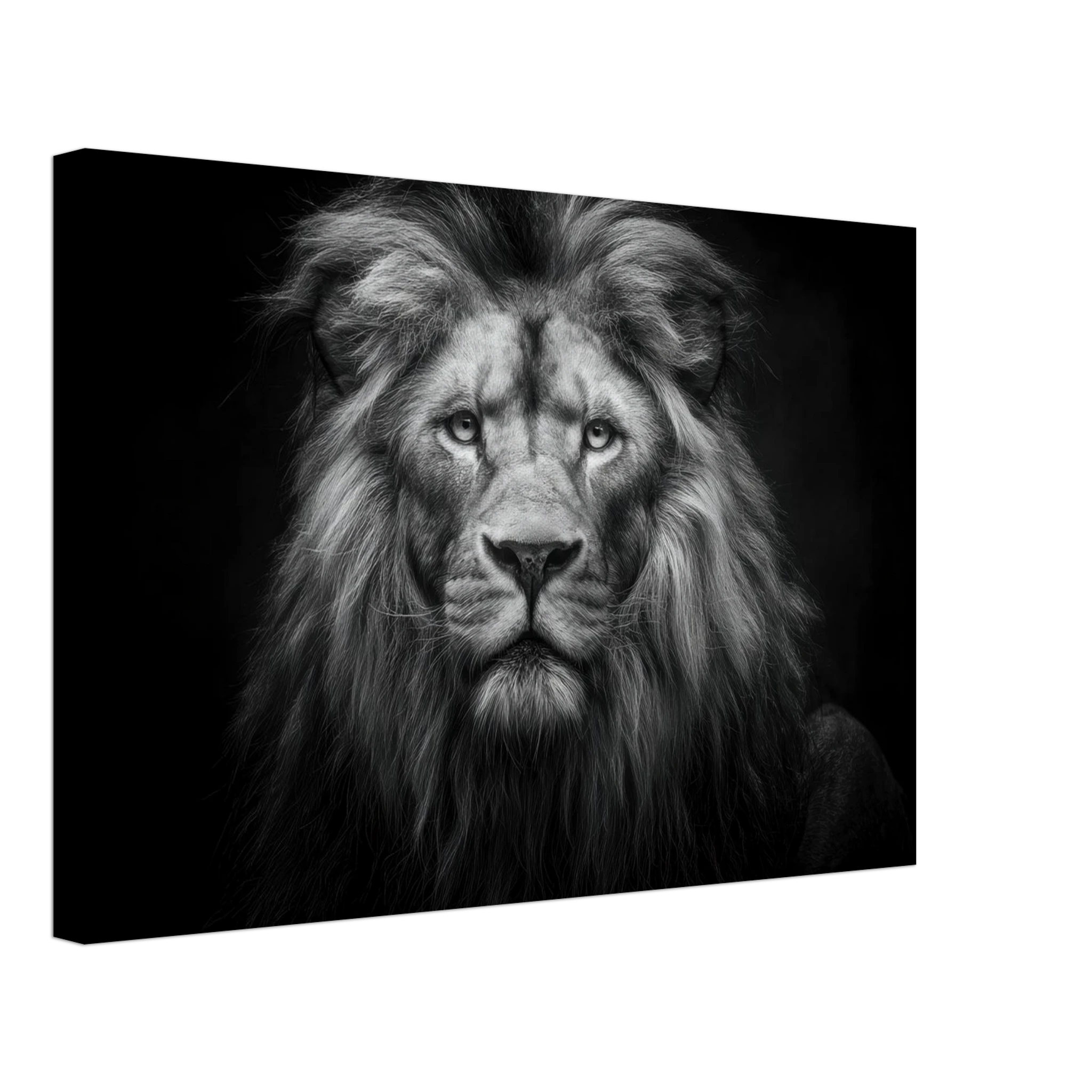 513cc6c8-9e90-4d06-a34f-922fc938cccd