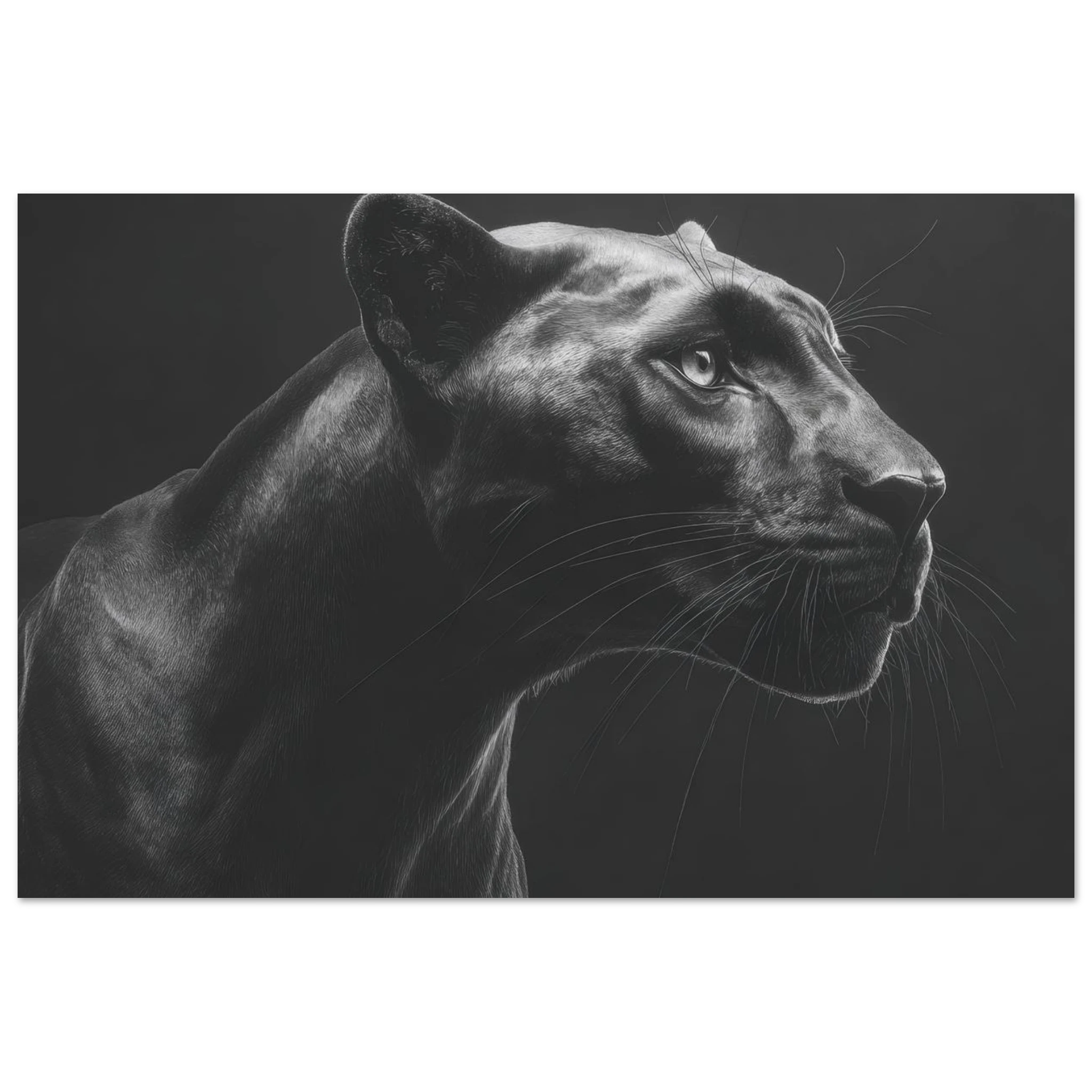 51a4b2c0-1a59-4bbe-bd48-4607d7244226