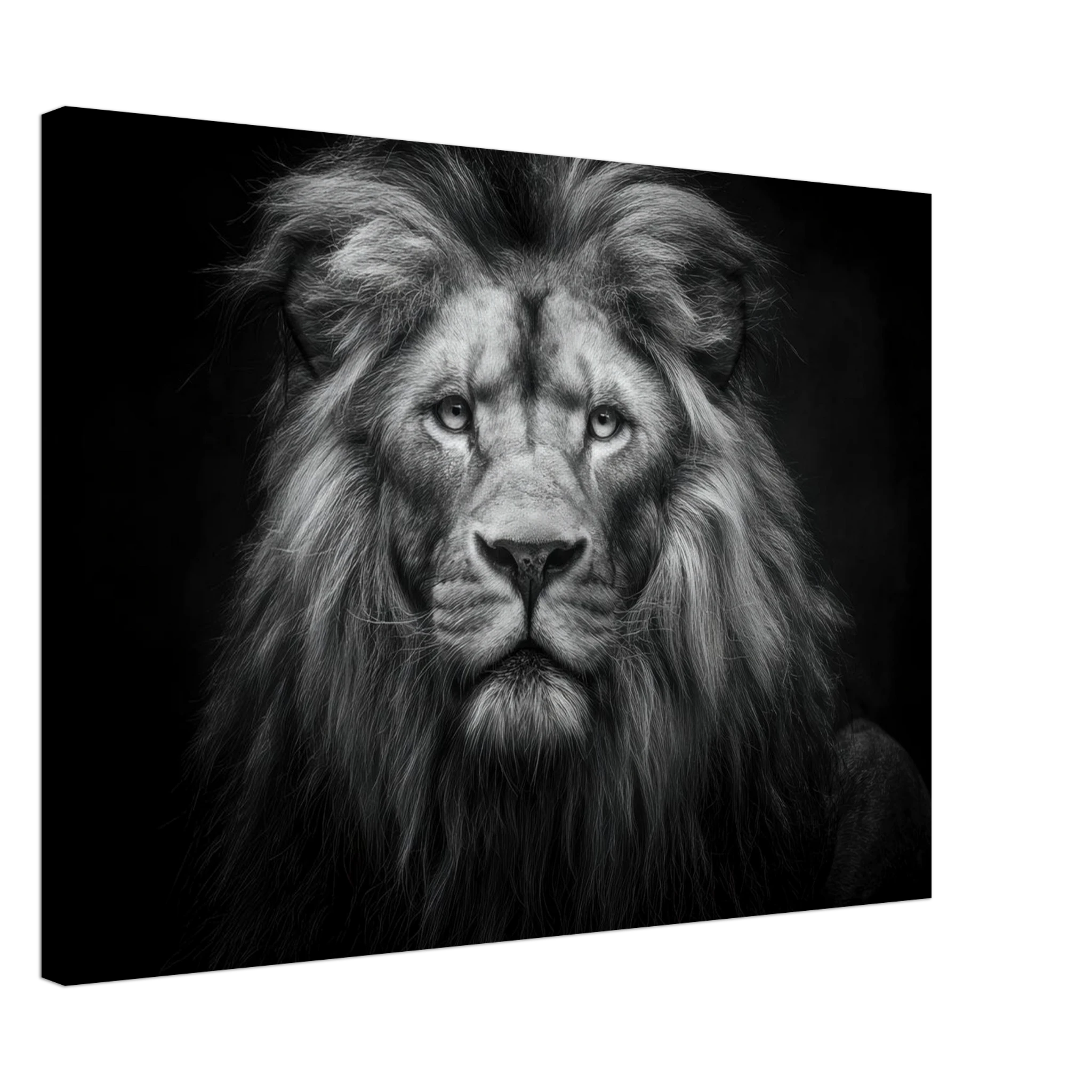 53b9d160-cb2b-4334-a084-516c28e980bf