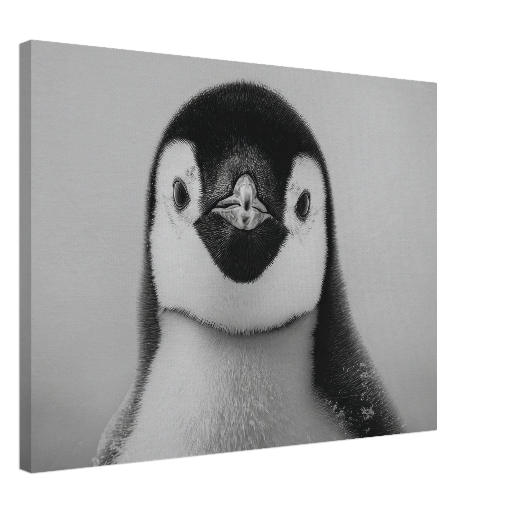 5500061f-8f95-4b9a-b43d-2866df106977