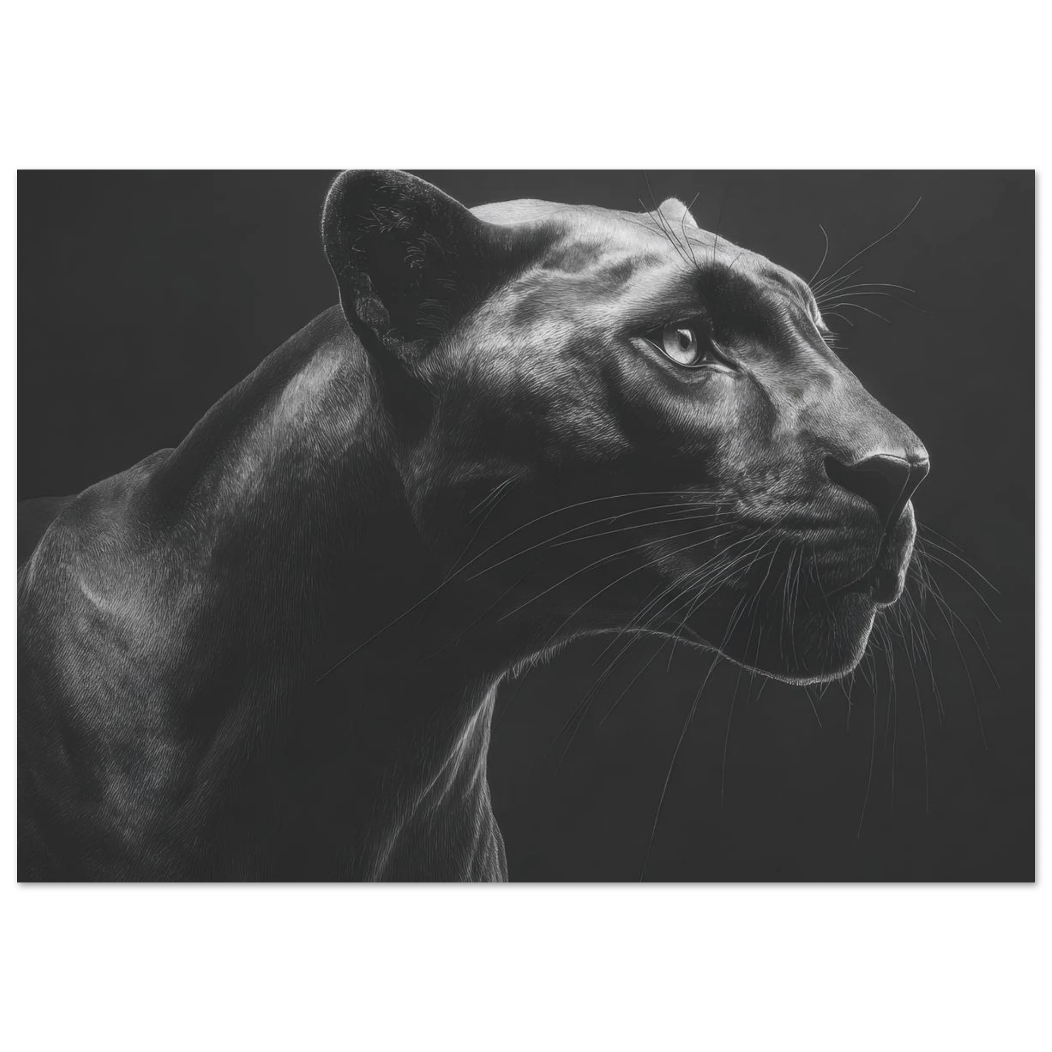 56b2d69c-7d57-4d36-8c79-63a7a2ae704a