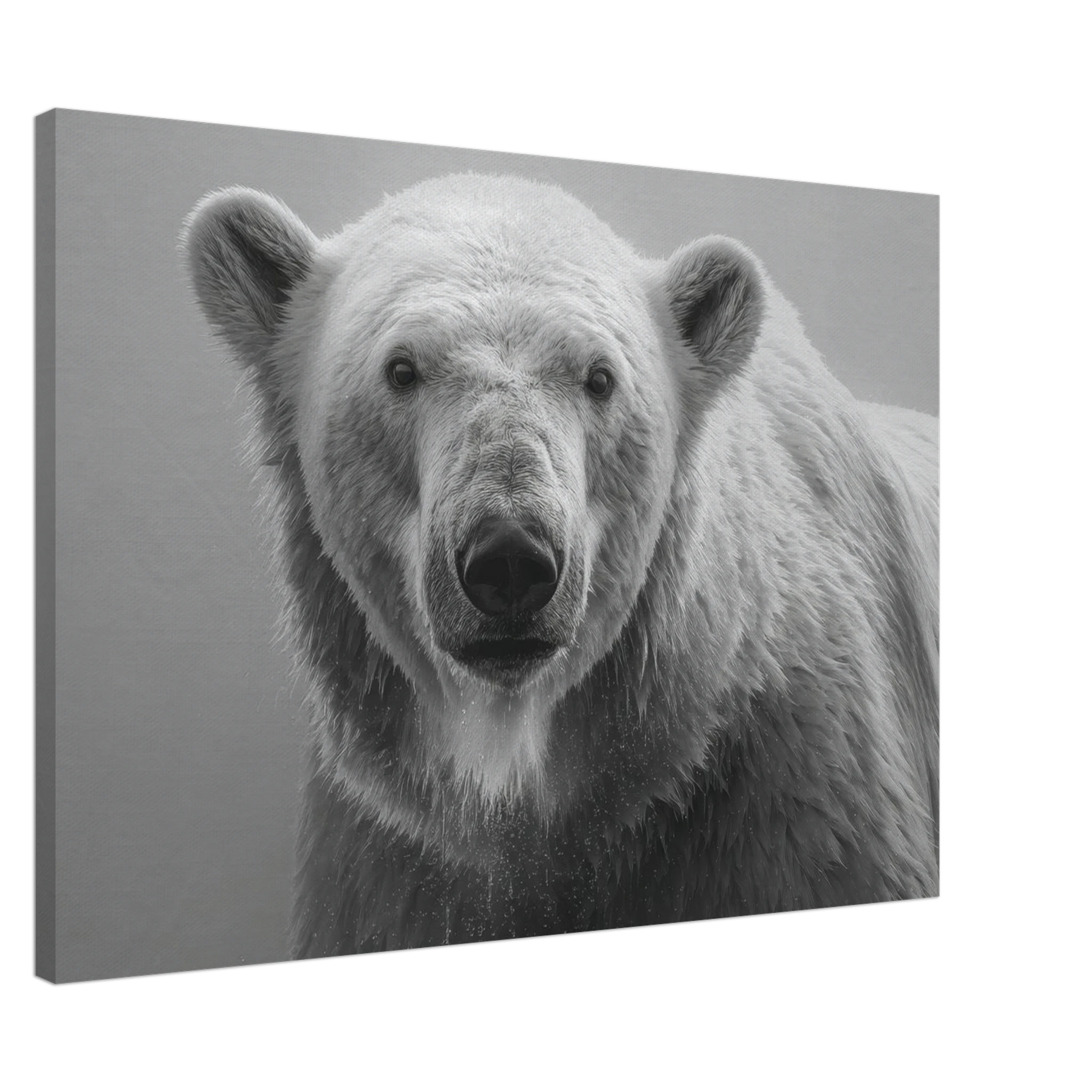 5ed1e4d6-fb83-40ec-b113-d20c8a2318ea