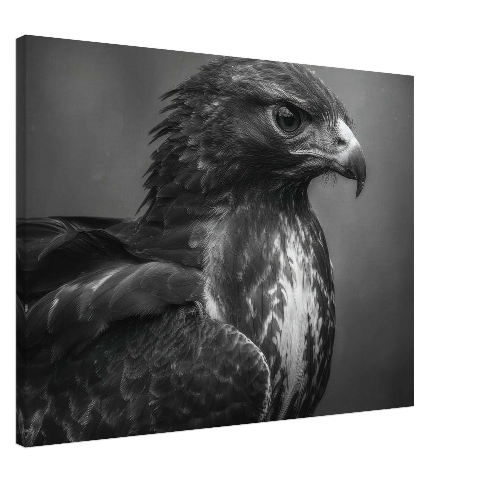 696e0434-bea3-485f-8c79-961d62680c87