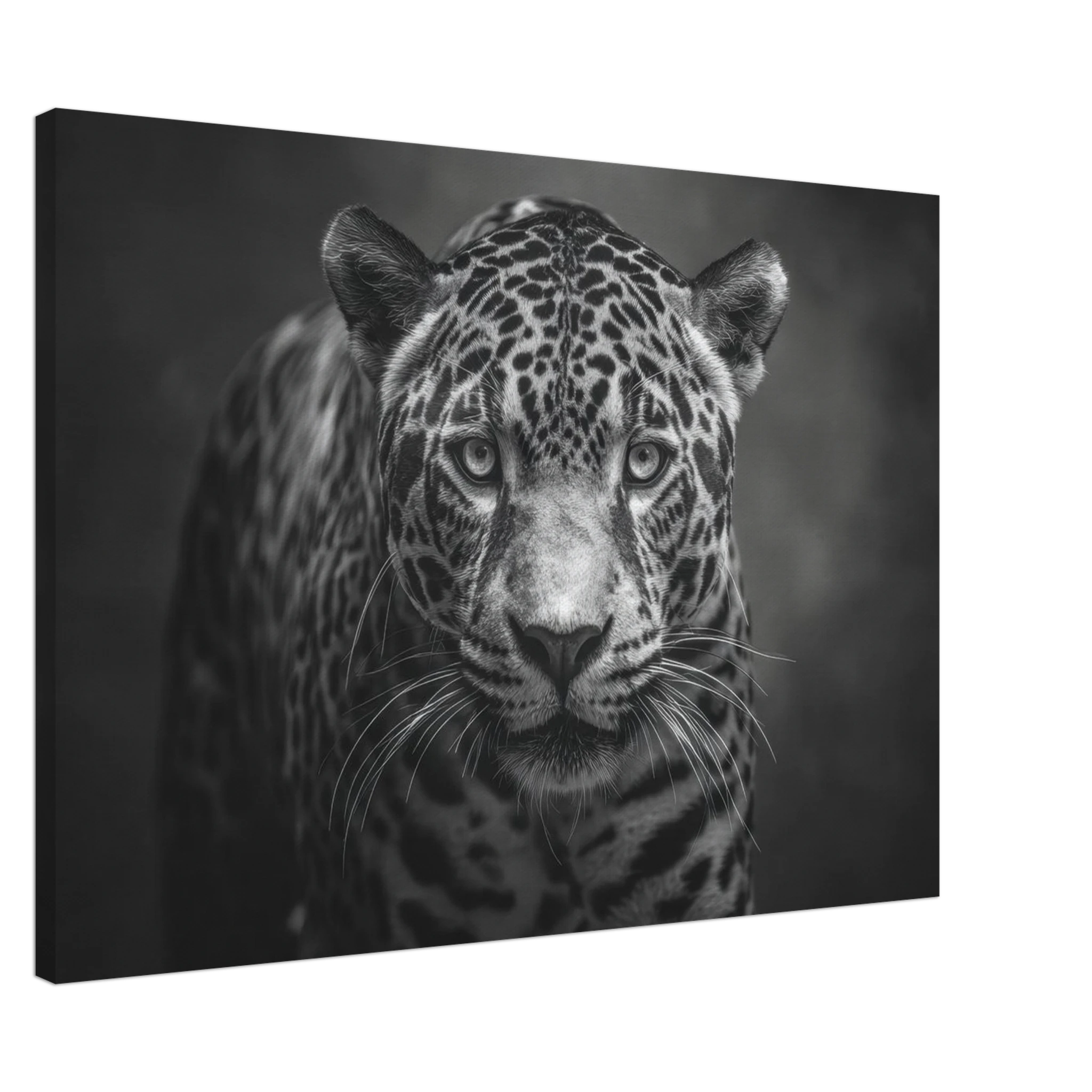 6e4fe0dd-80c2-4326-9c08-355501ae316c