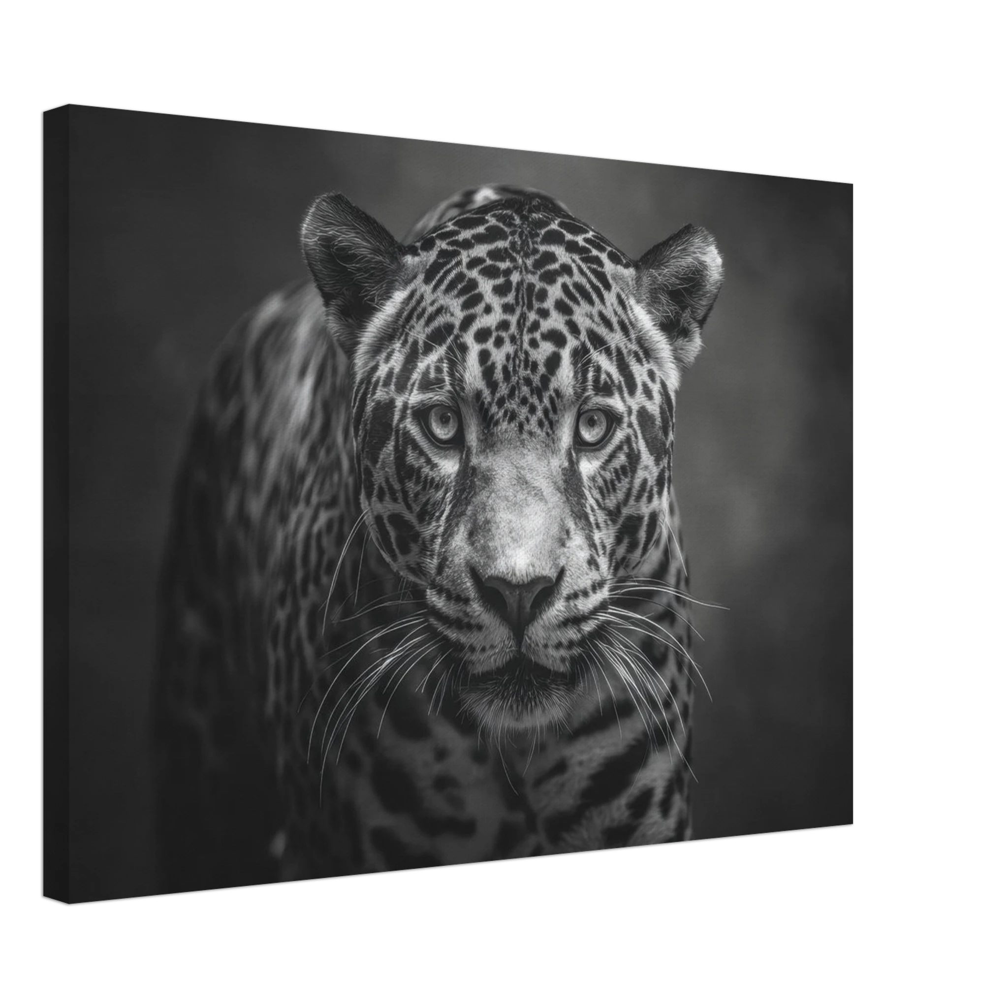 77b44df3-d2ad-4dc0-a791-545ae843e640