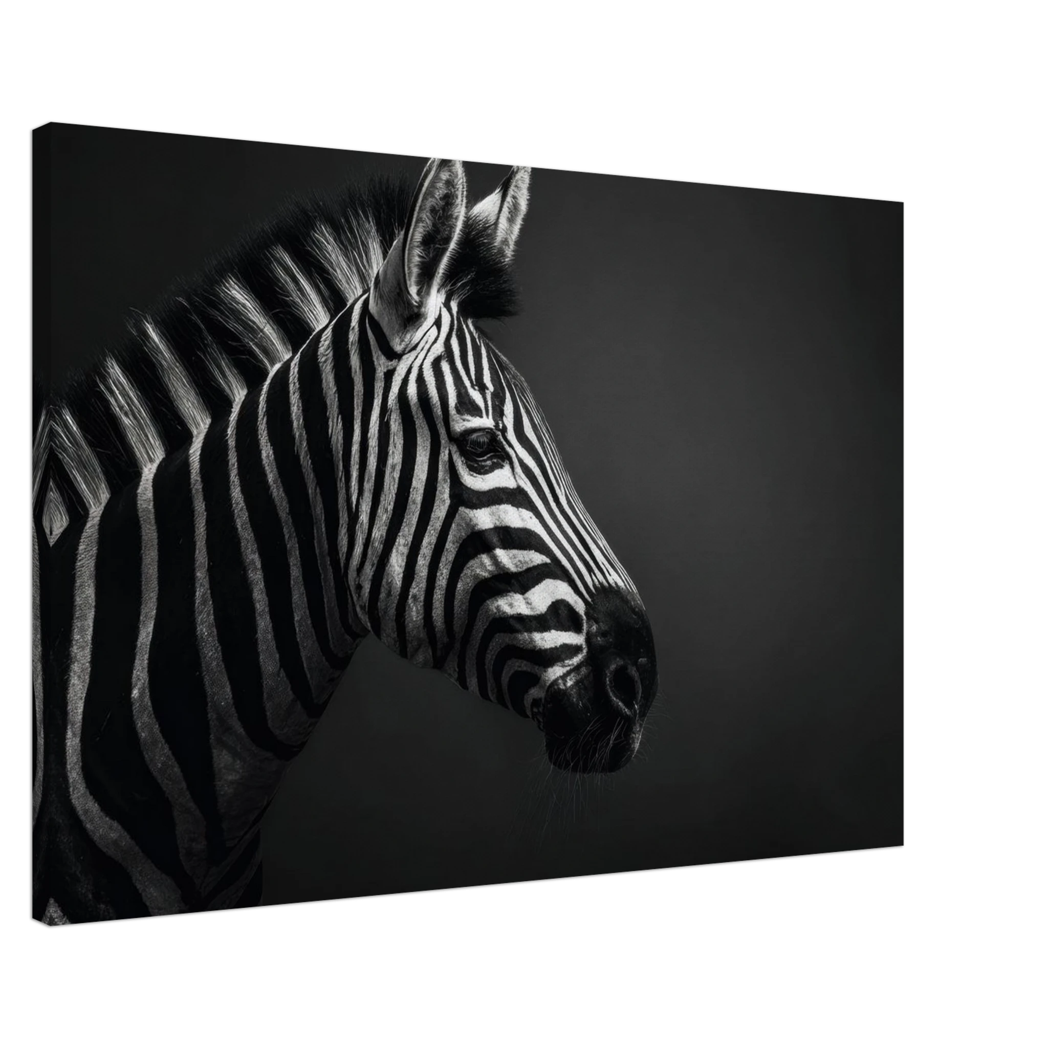 7faf1d56-154c-4969-98df-1725dfa2fa6f