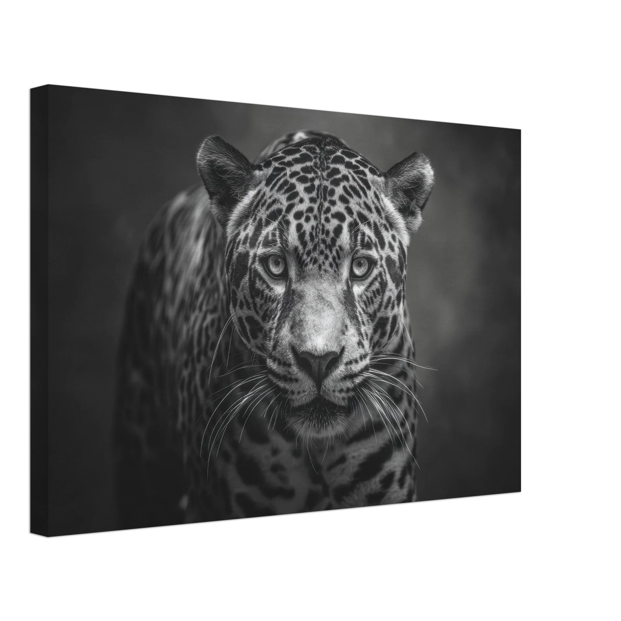 8231b7ae-9a6a-4896-ae16-8e6d611732c9